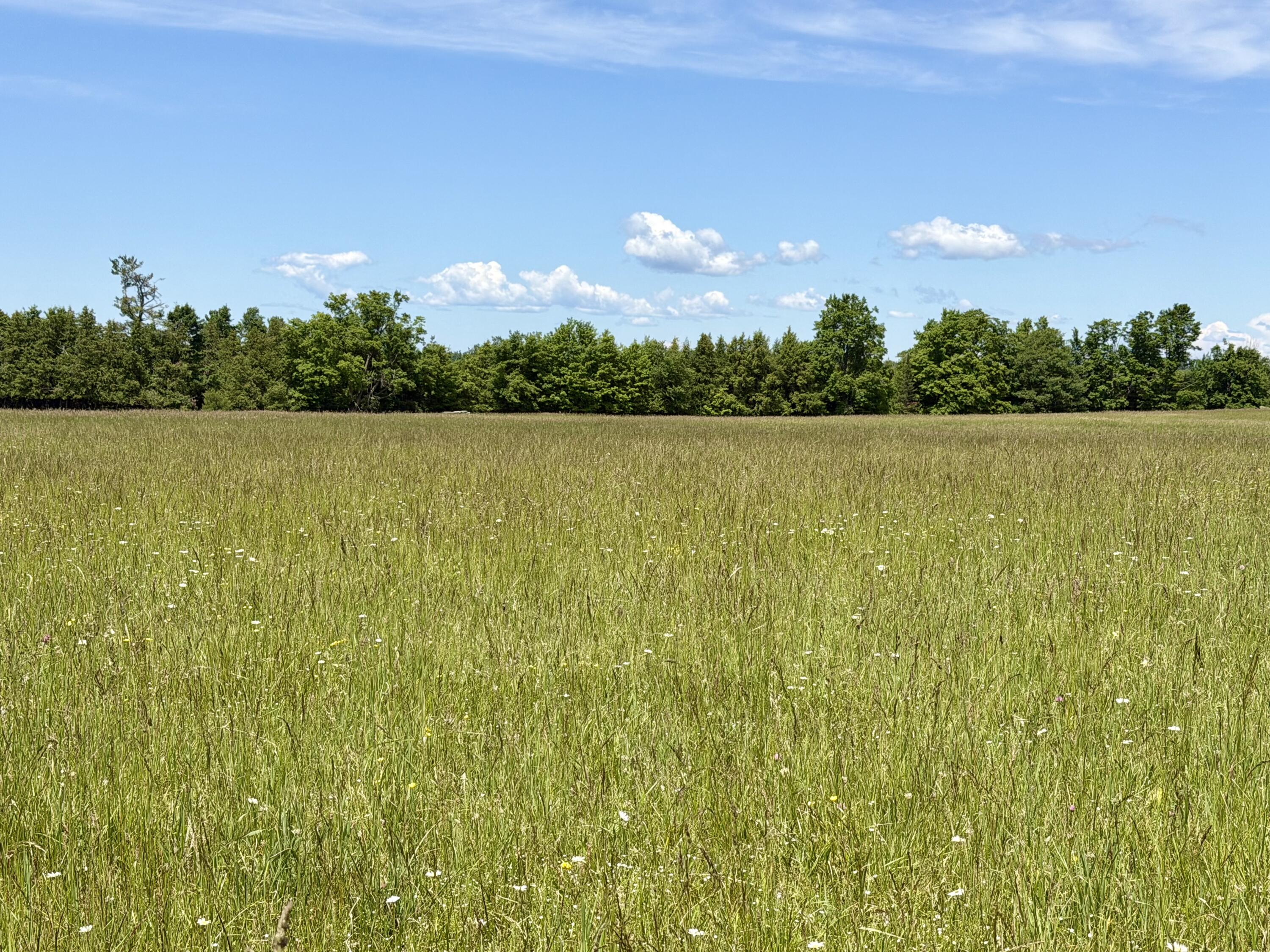 1321 Pioneer Road, 8.11 acres