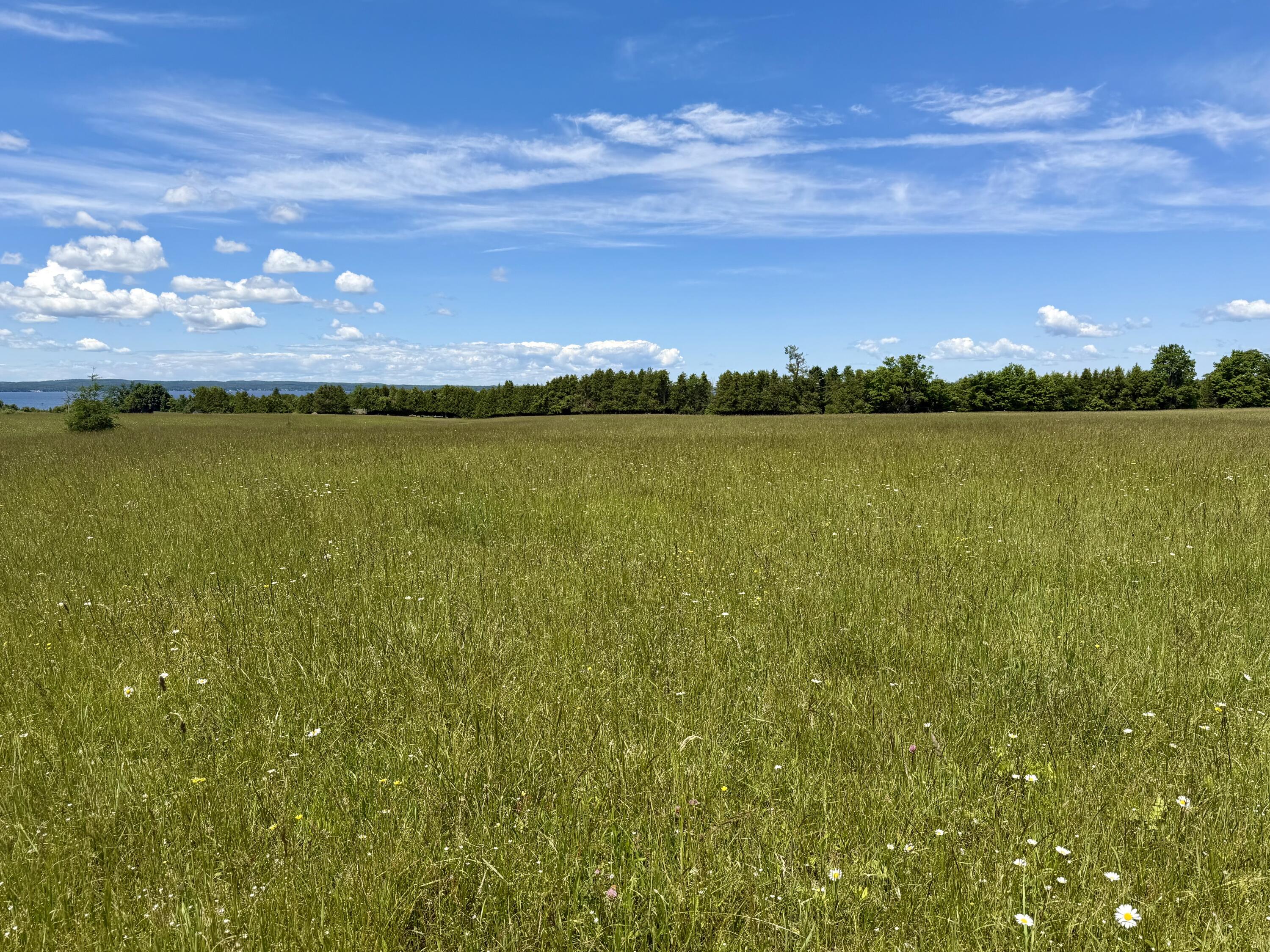 1321 Pioneer Road, 8.11 acres