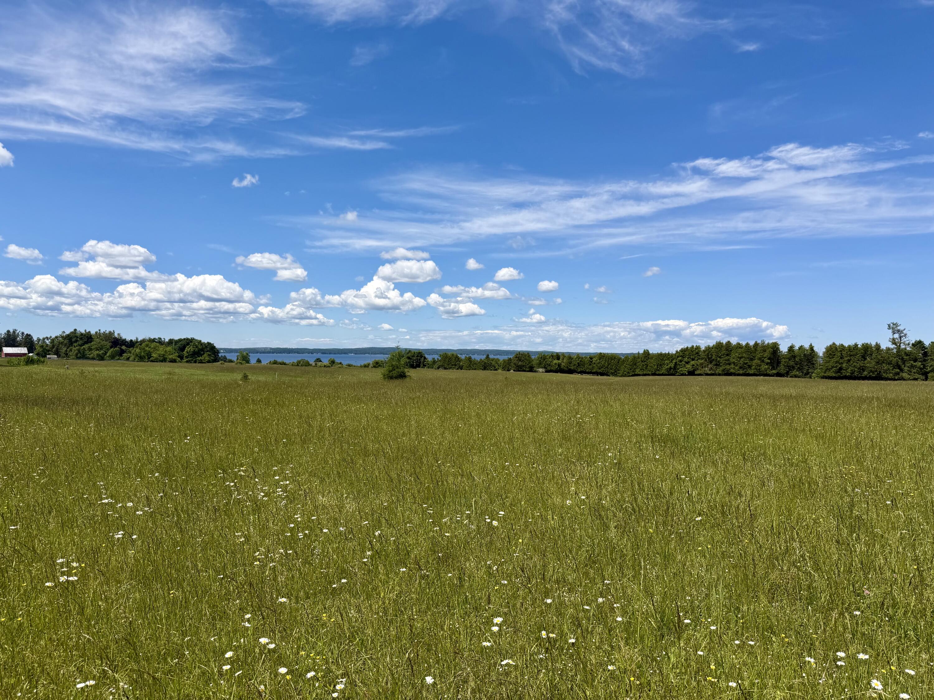 1321 Pioneer Road, 8.11 acres