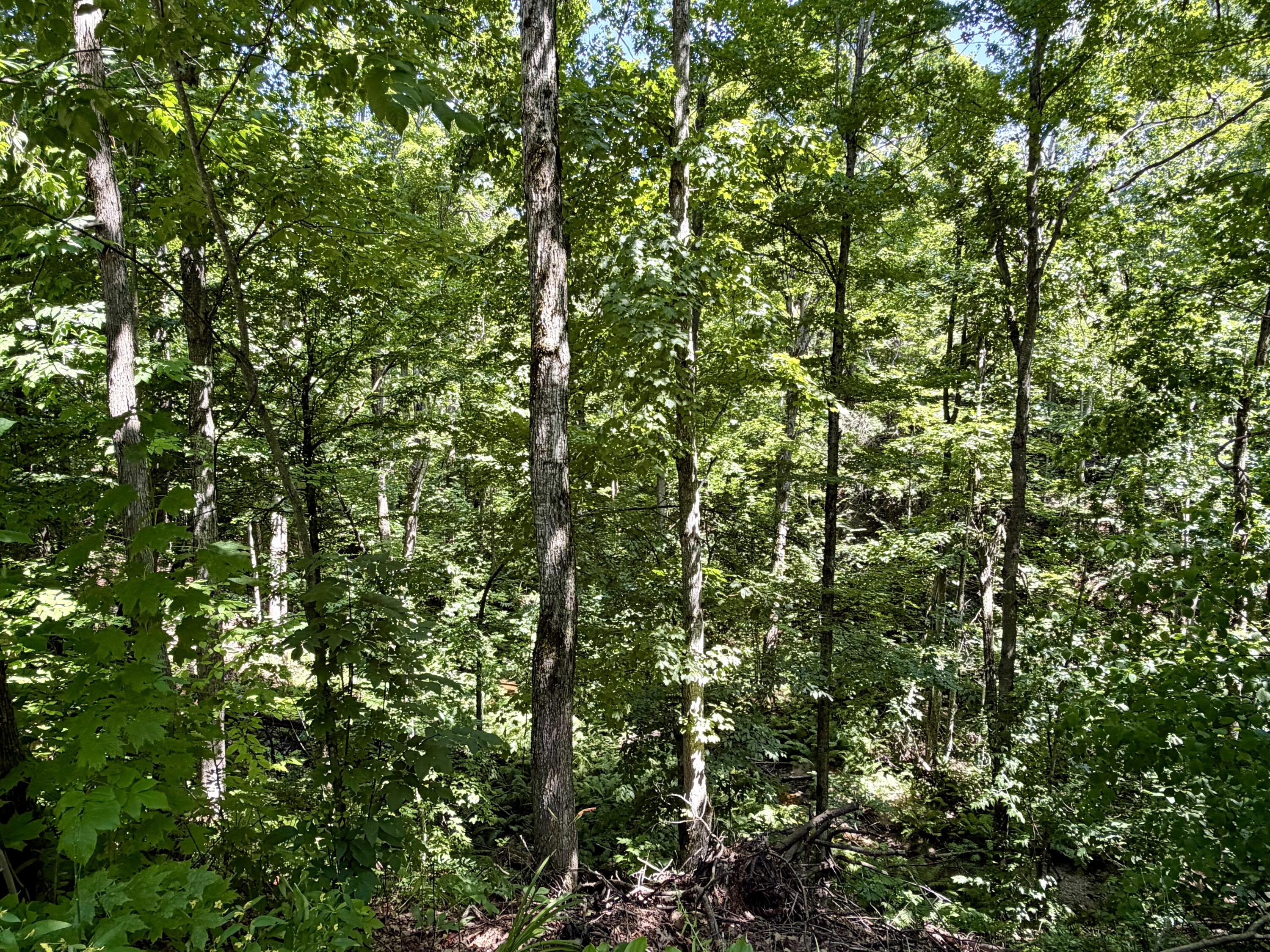 3612 River Rest Road