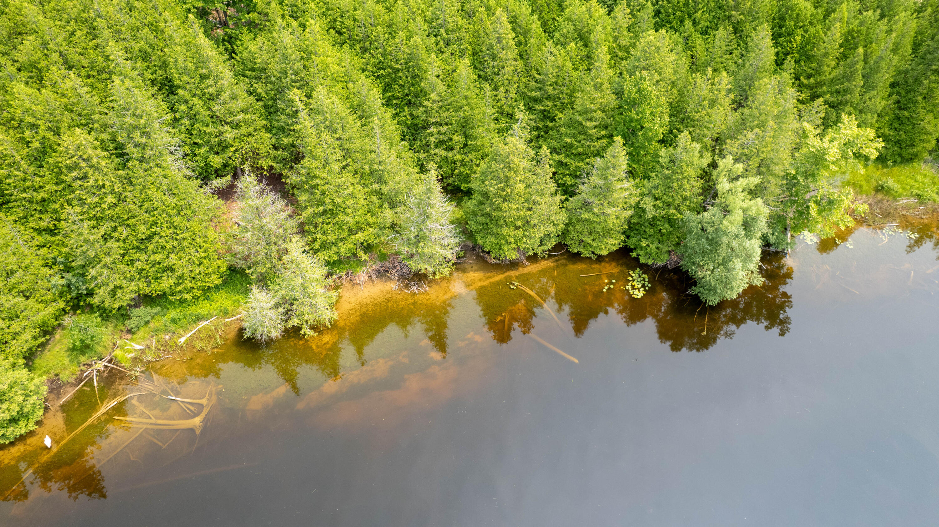 Parcel #4 River Edge Drive, 2.90 acres