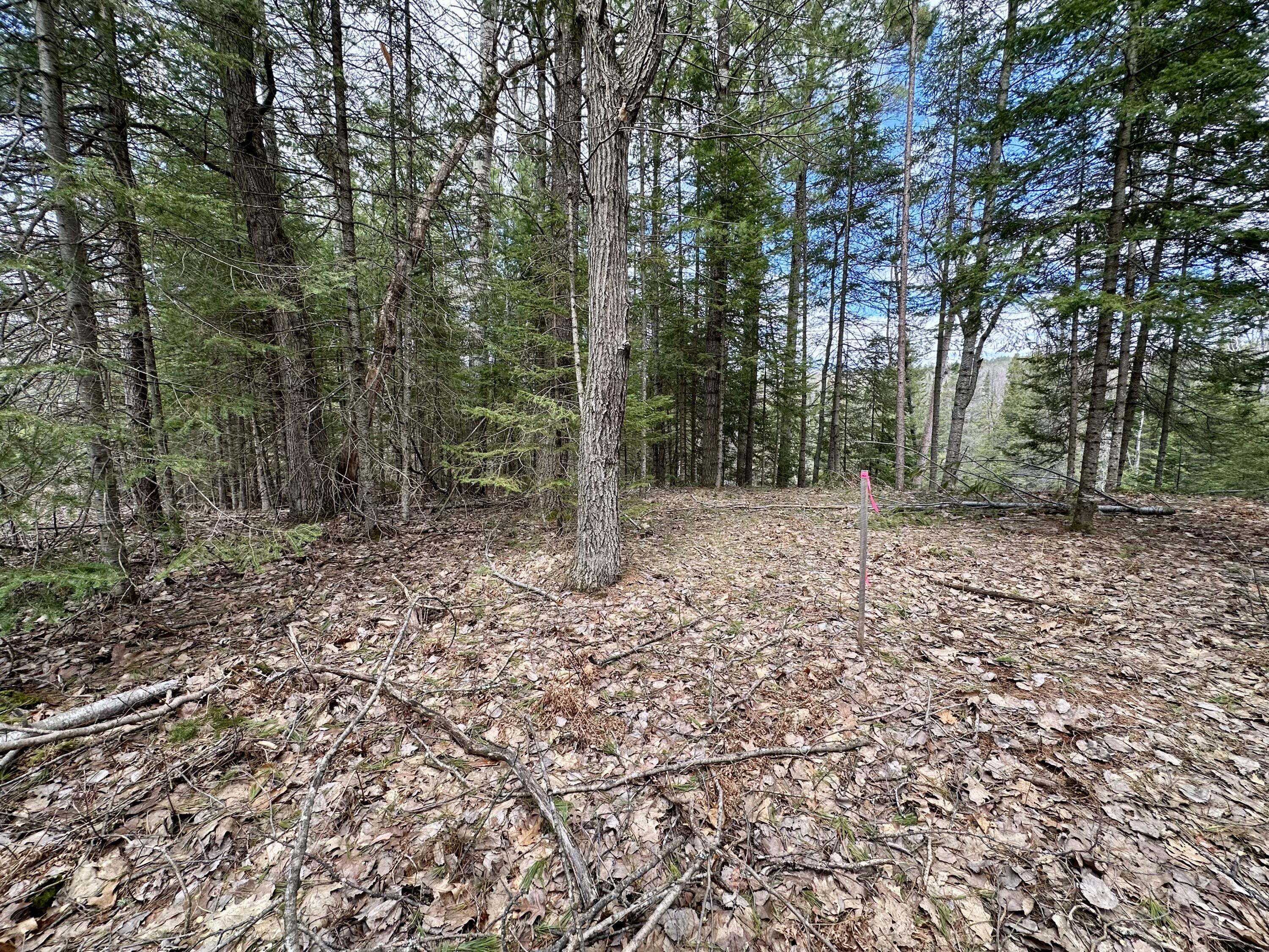 5033 Big Sky Trail, Lot 40