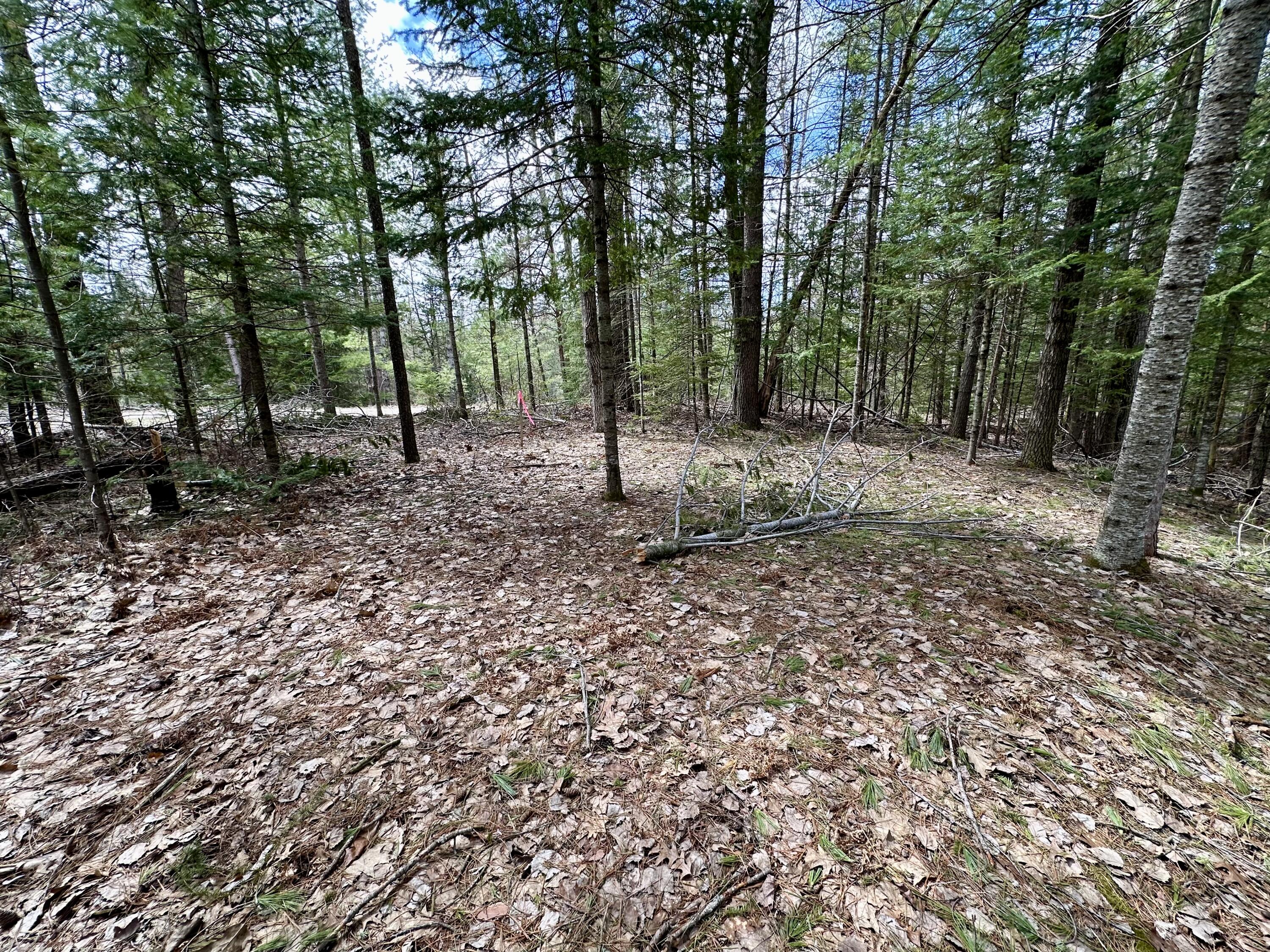 5033 Big Sky Trail, Lot 40