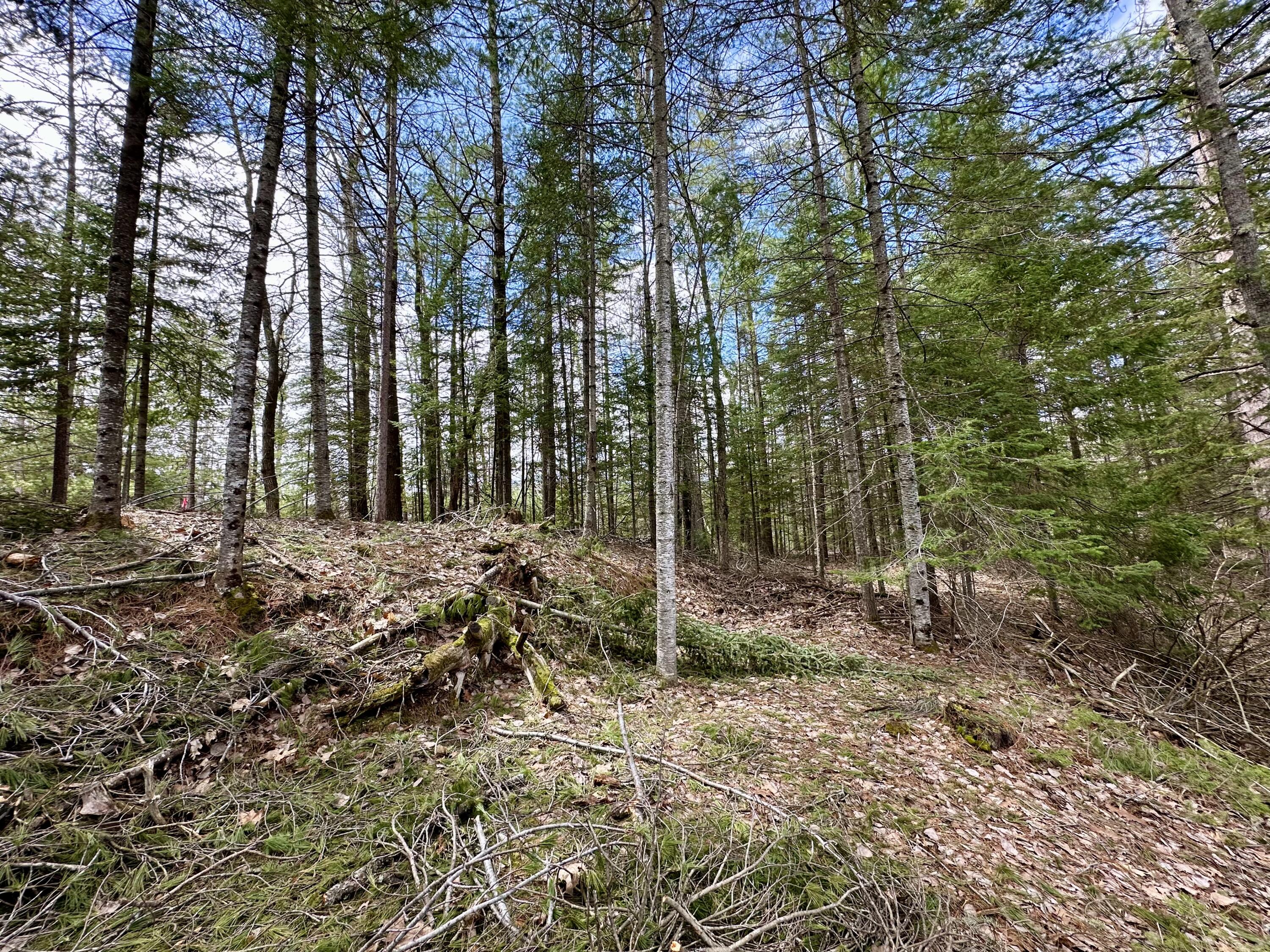 5033 Big Sky Trail, Lot 40