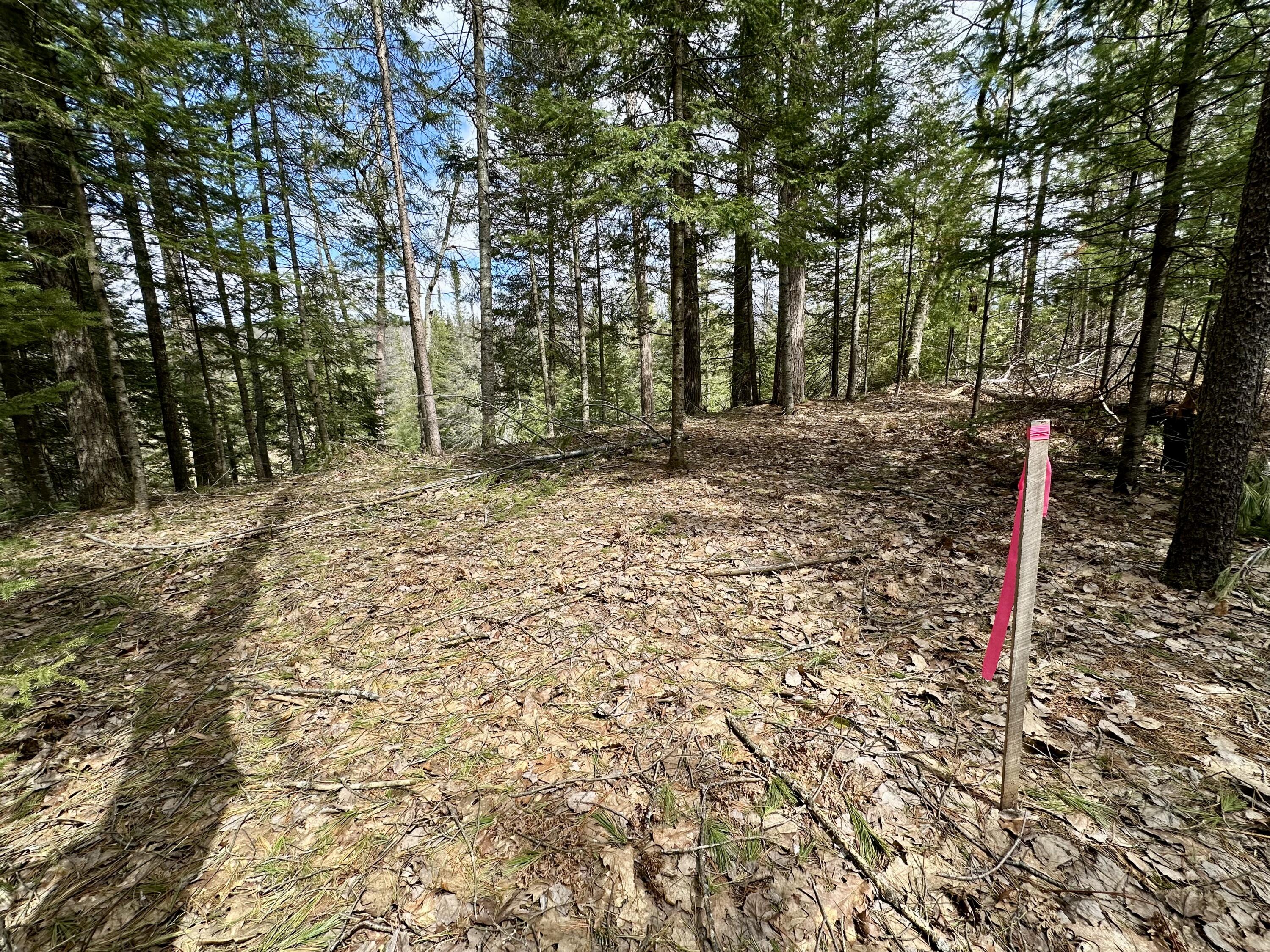5033 Big Sky Trail, Lot 40