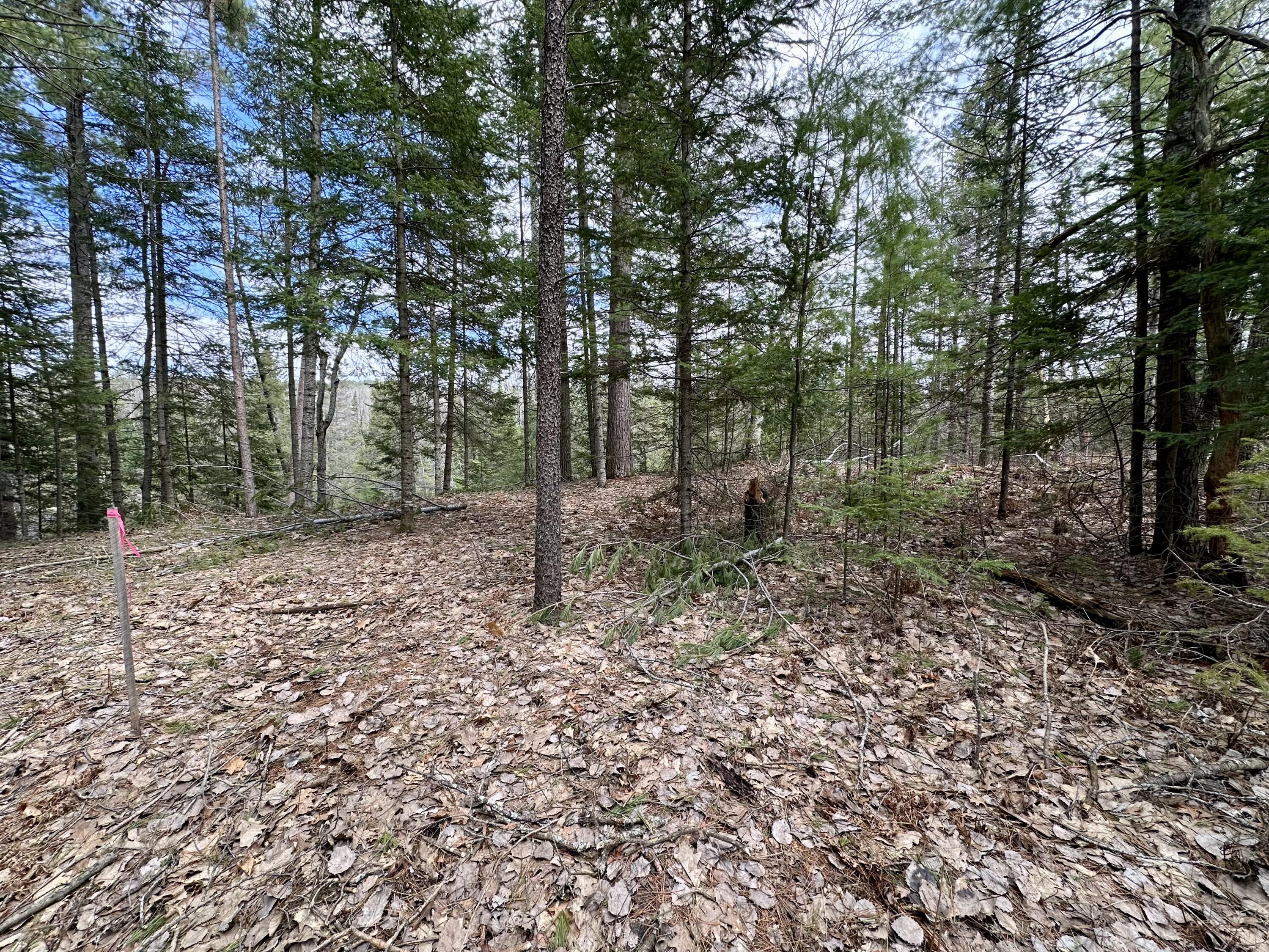 5033 Big Sky Trail, Lot 40