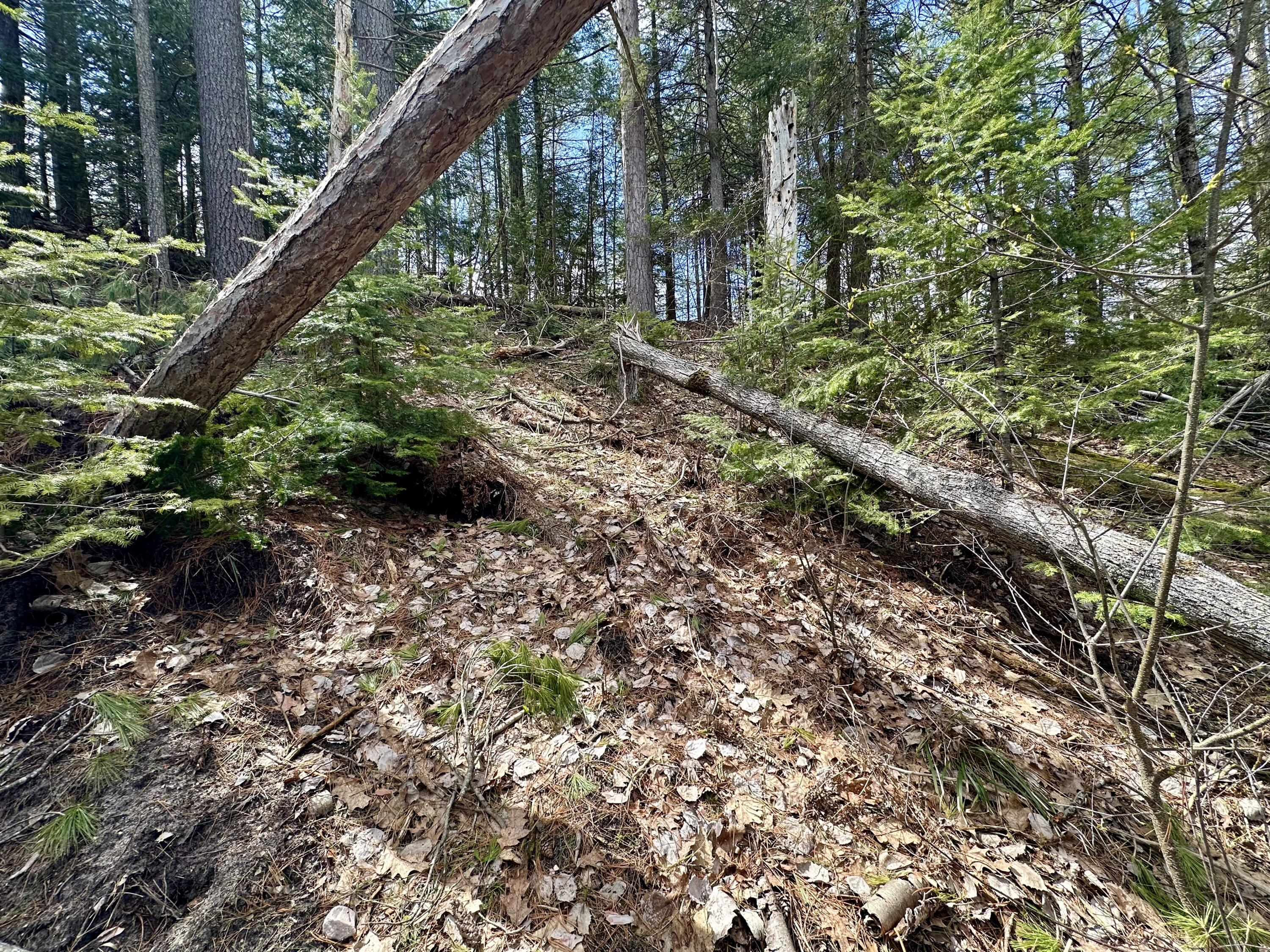 5033 Big Sky Trail, Lot 40