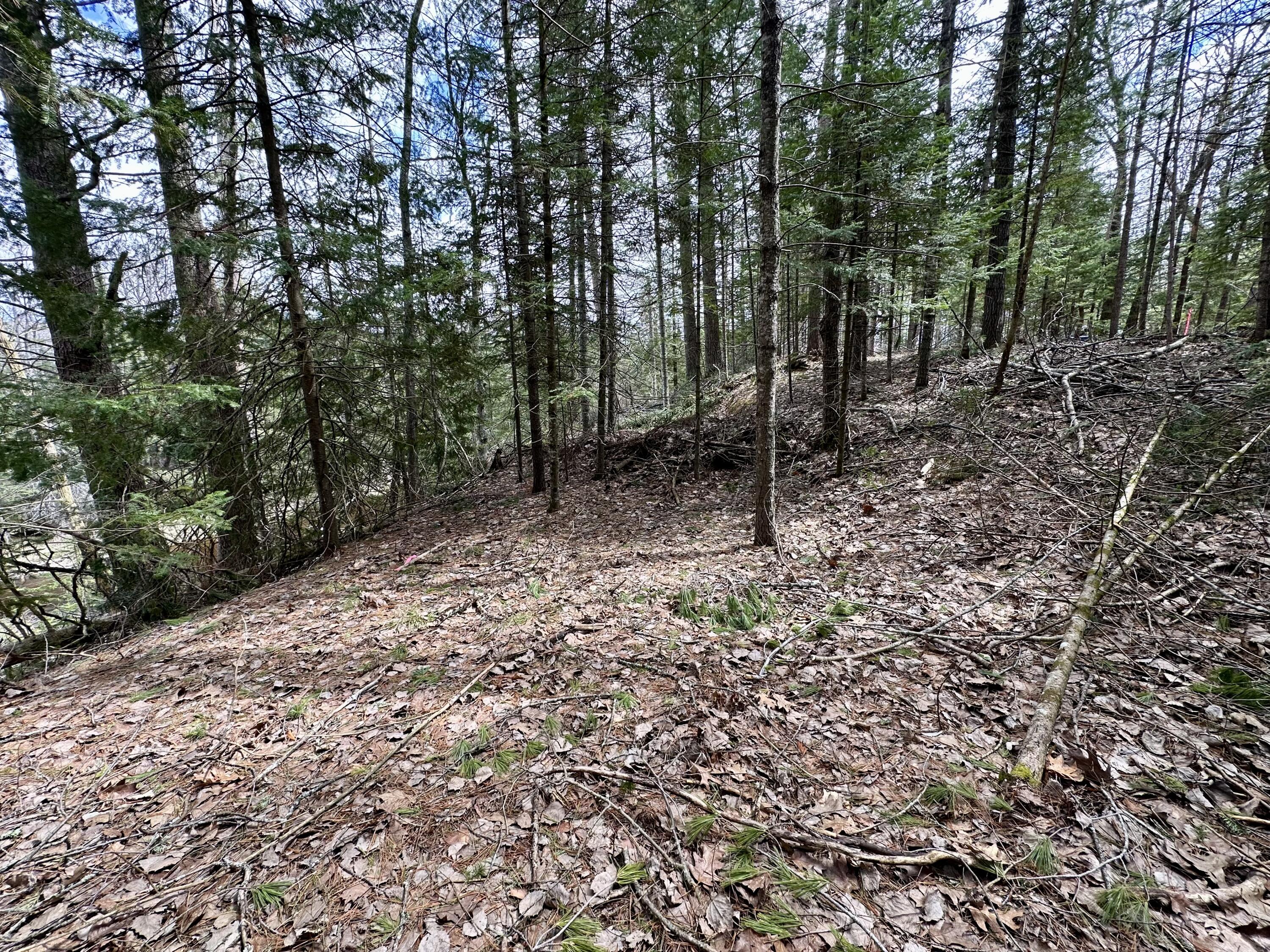 5033 Big Sky Trail, Lot 40