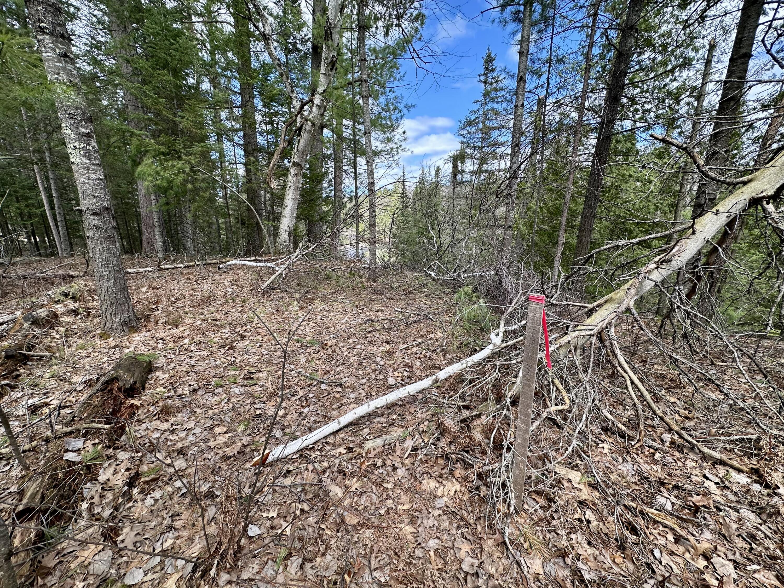 5033 Big Sky Trail, Lot 40