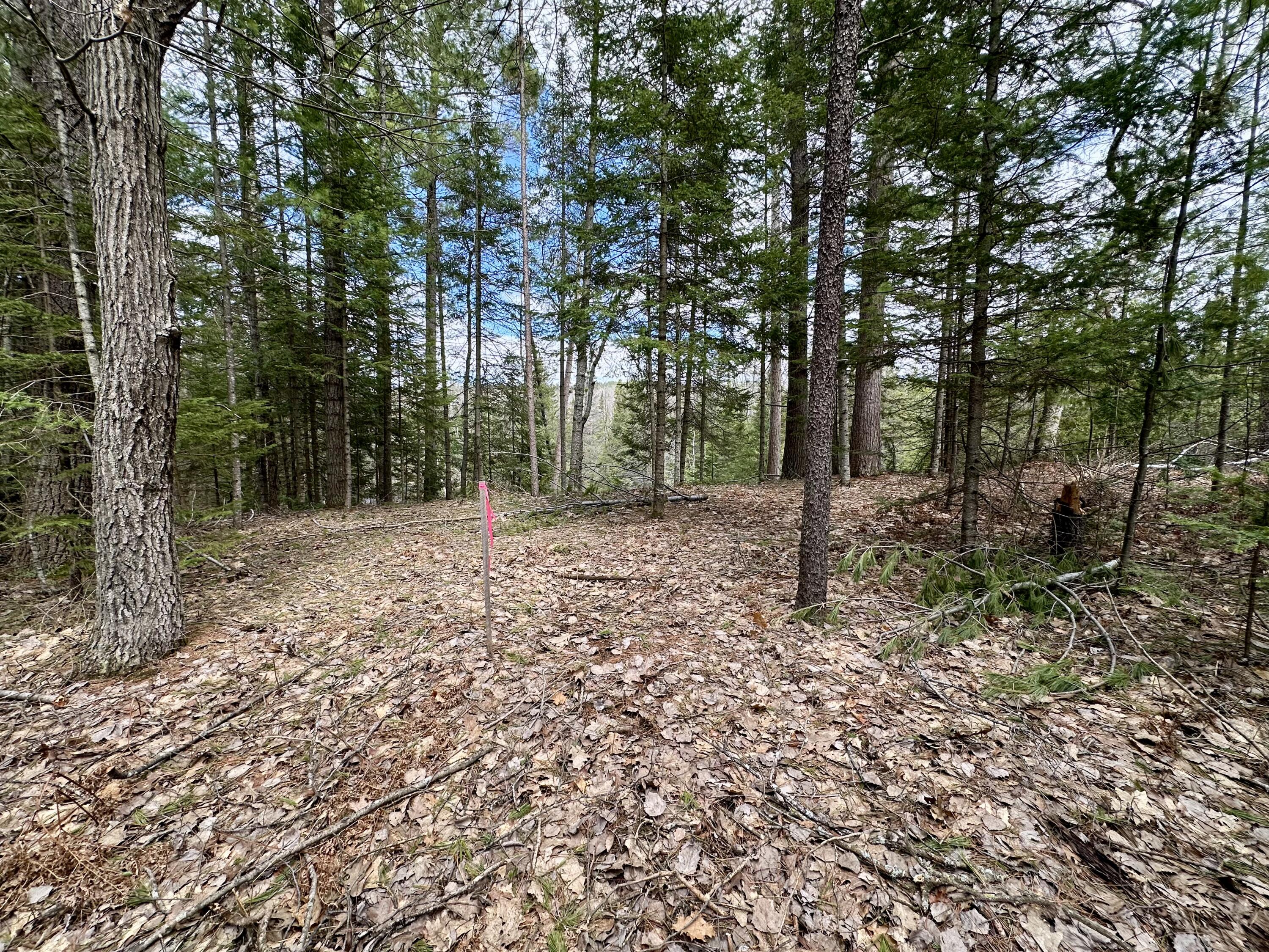 5033 Big Sky Trail, Lot 40