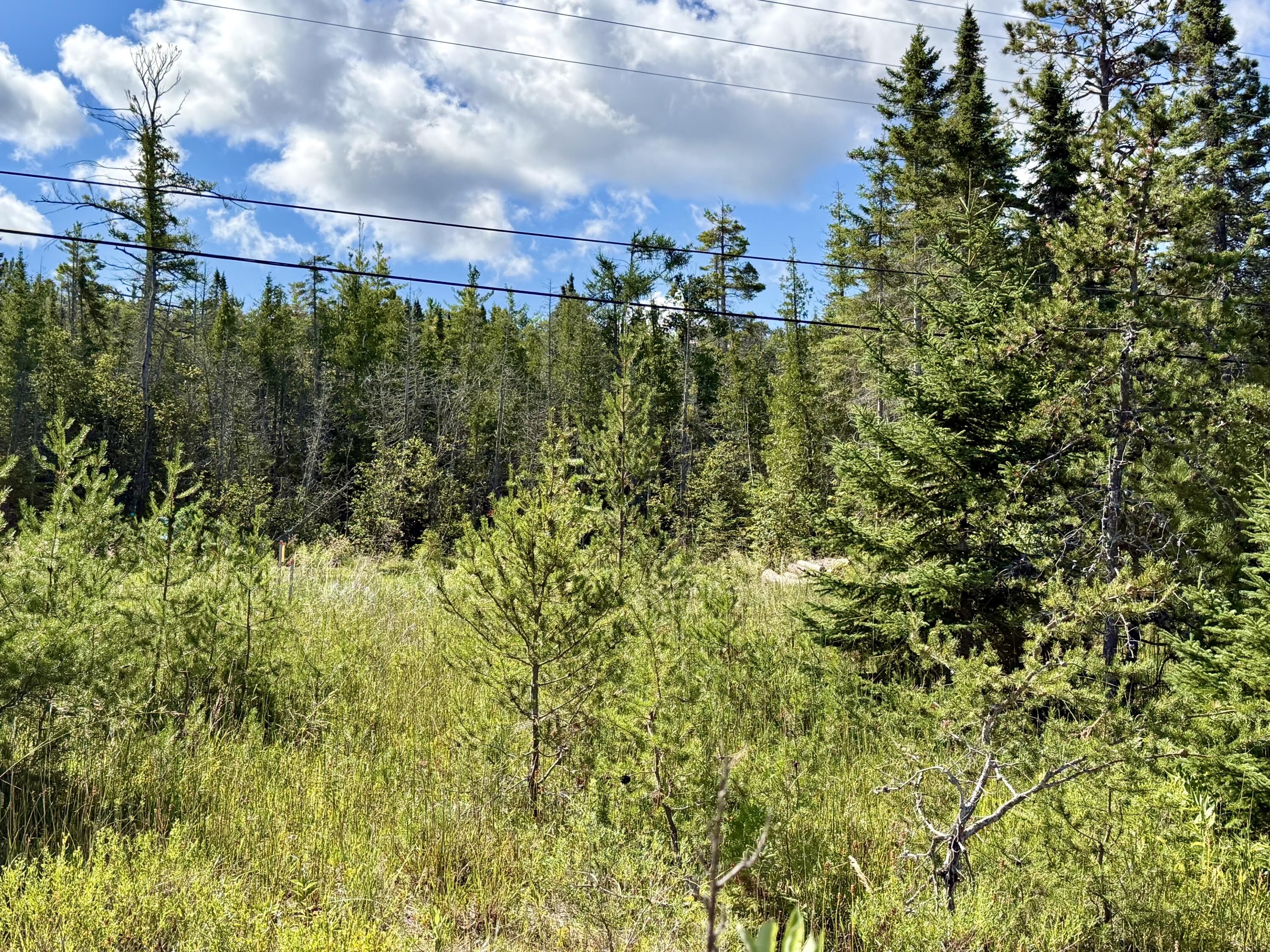 V/L Ray Drive, 2 acres
