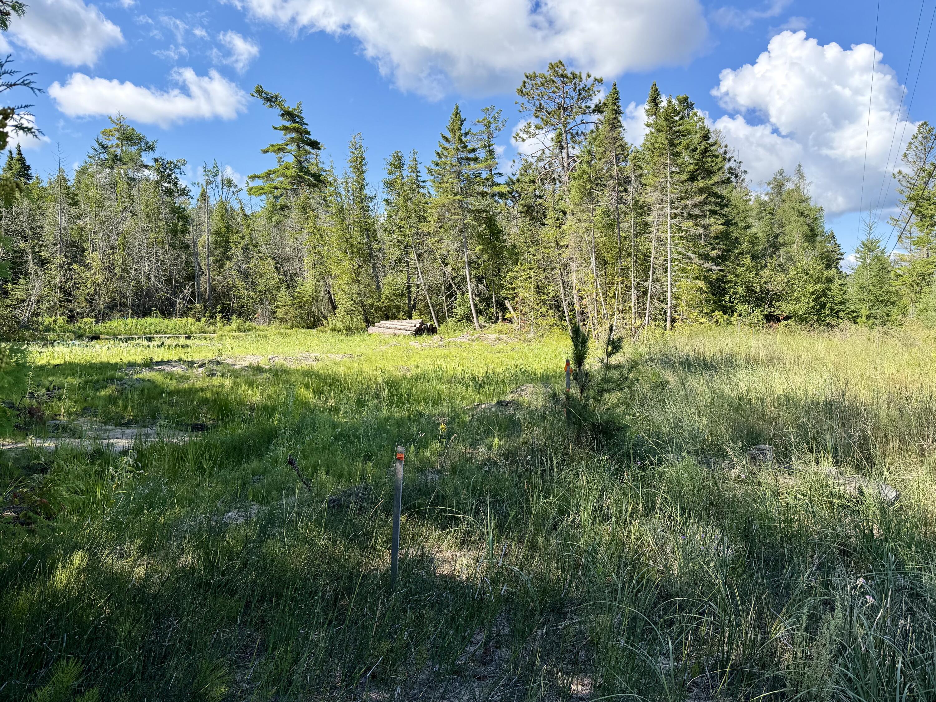 V/L Ray Drive, 2 acres