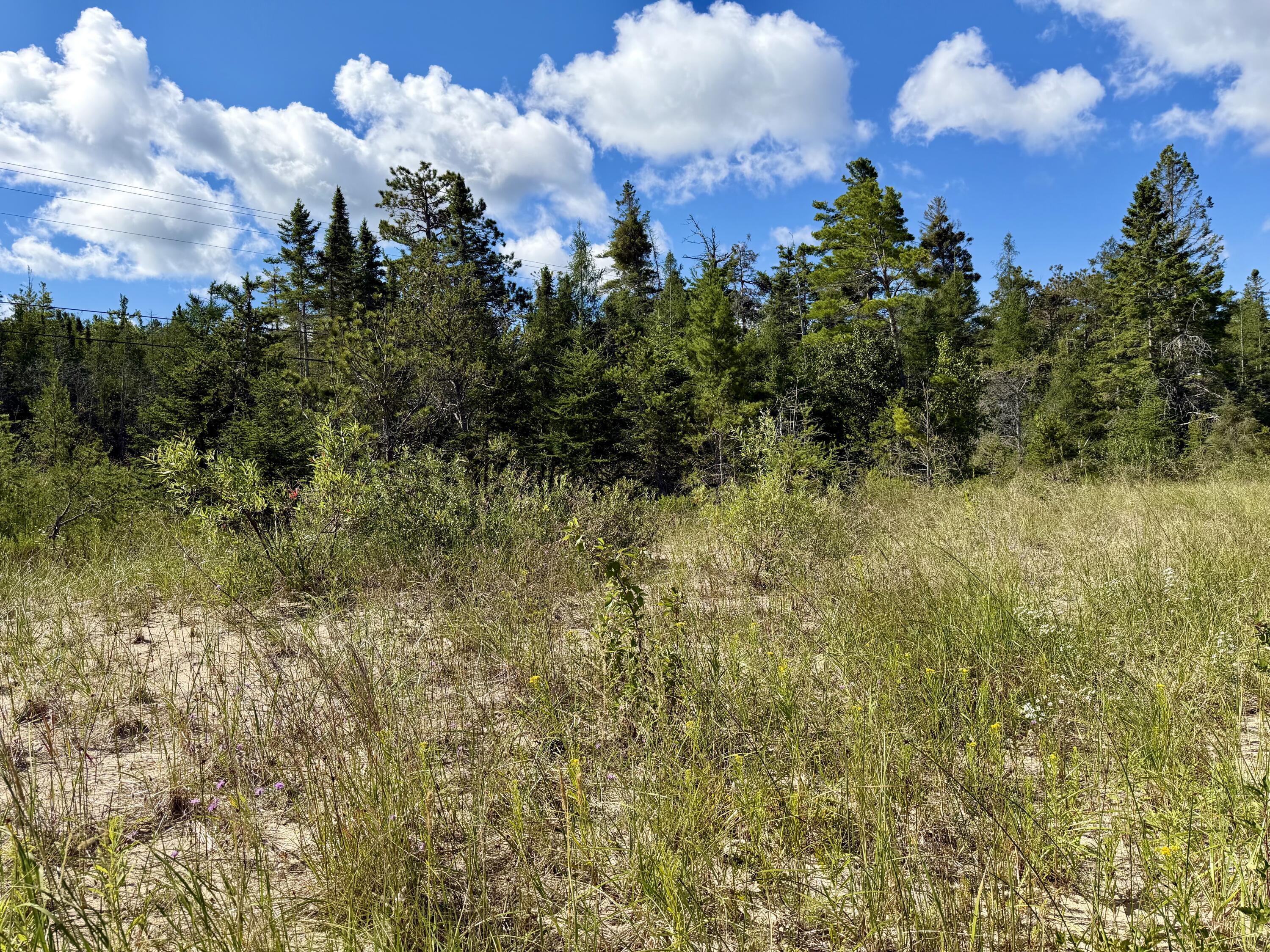 V/L Ray Drive, 2 acres