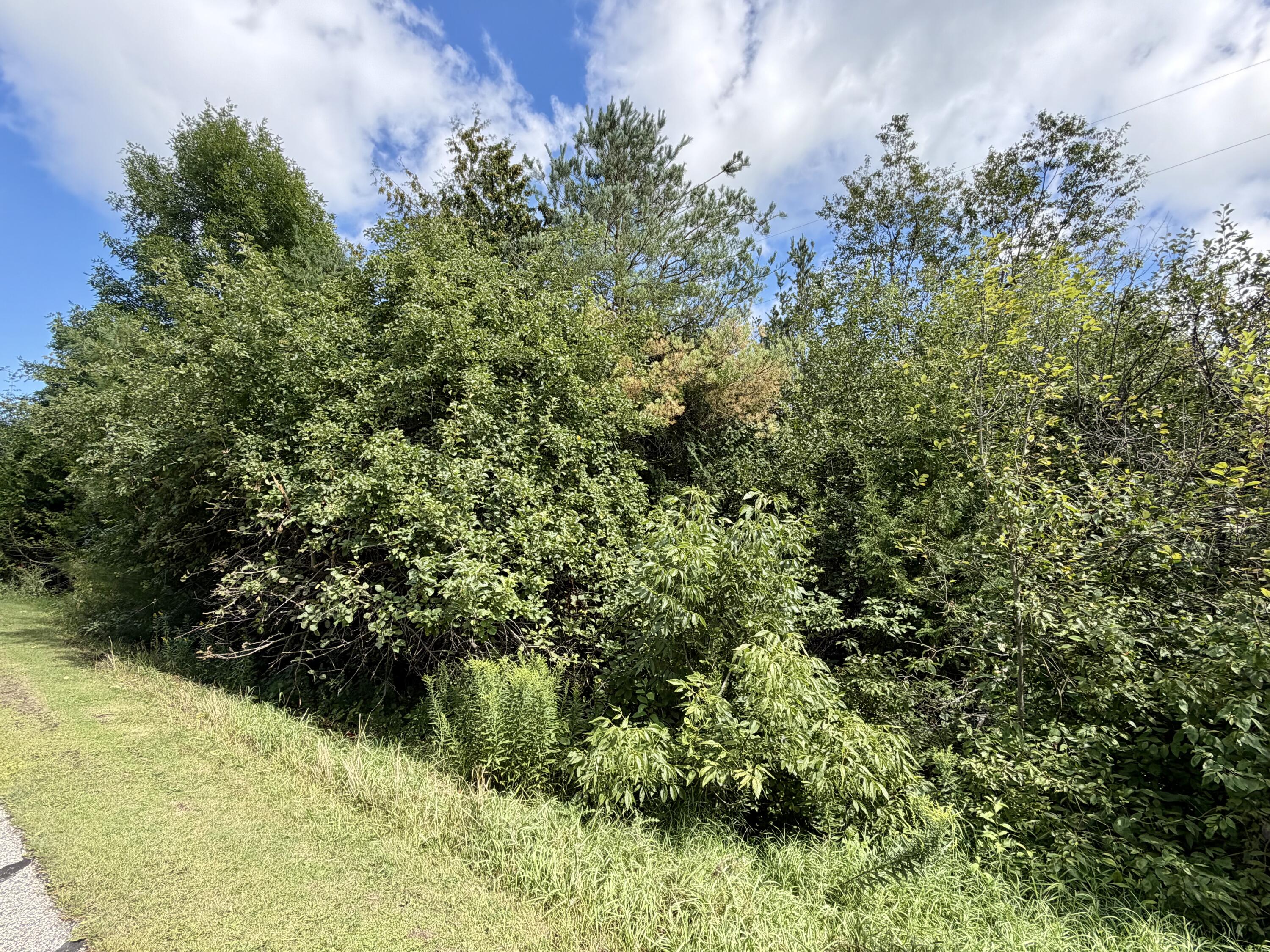 3181 Canton Drive, Lots 32 & 33