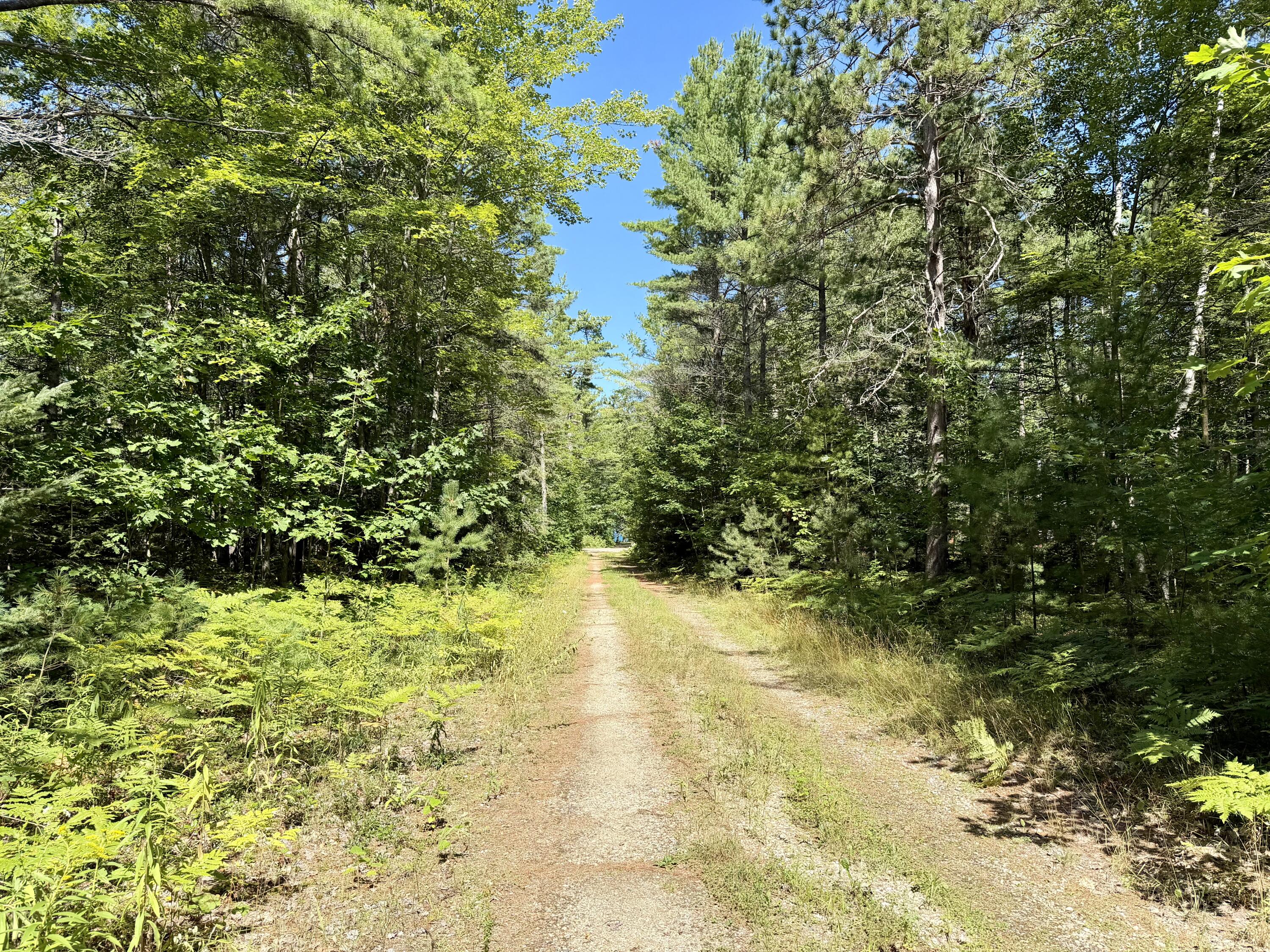 V/L Yvonne Avenue, Lots 1-4