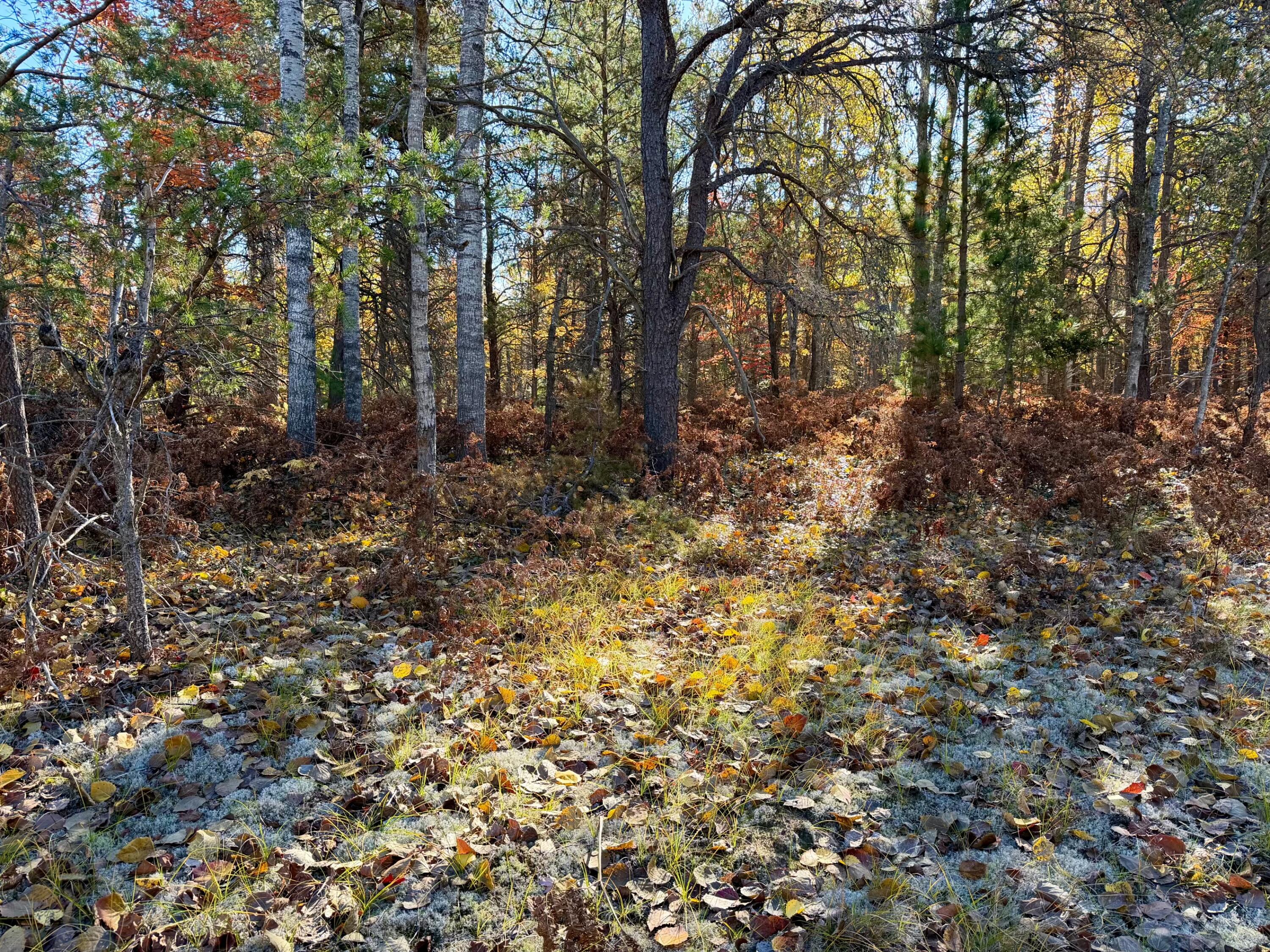 450 S Brown Trail, 20 acres