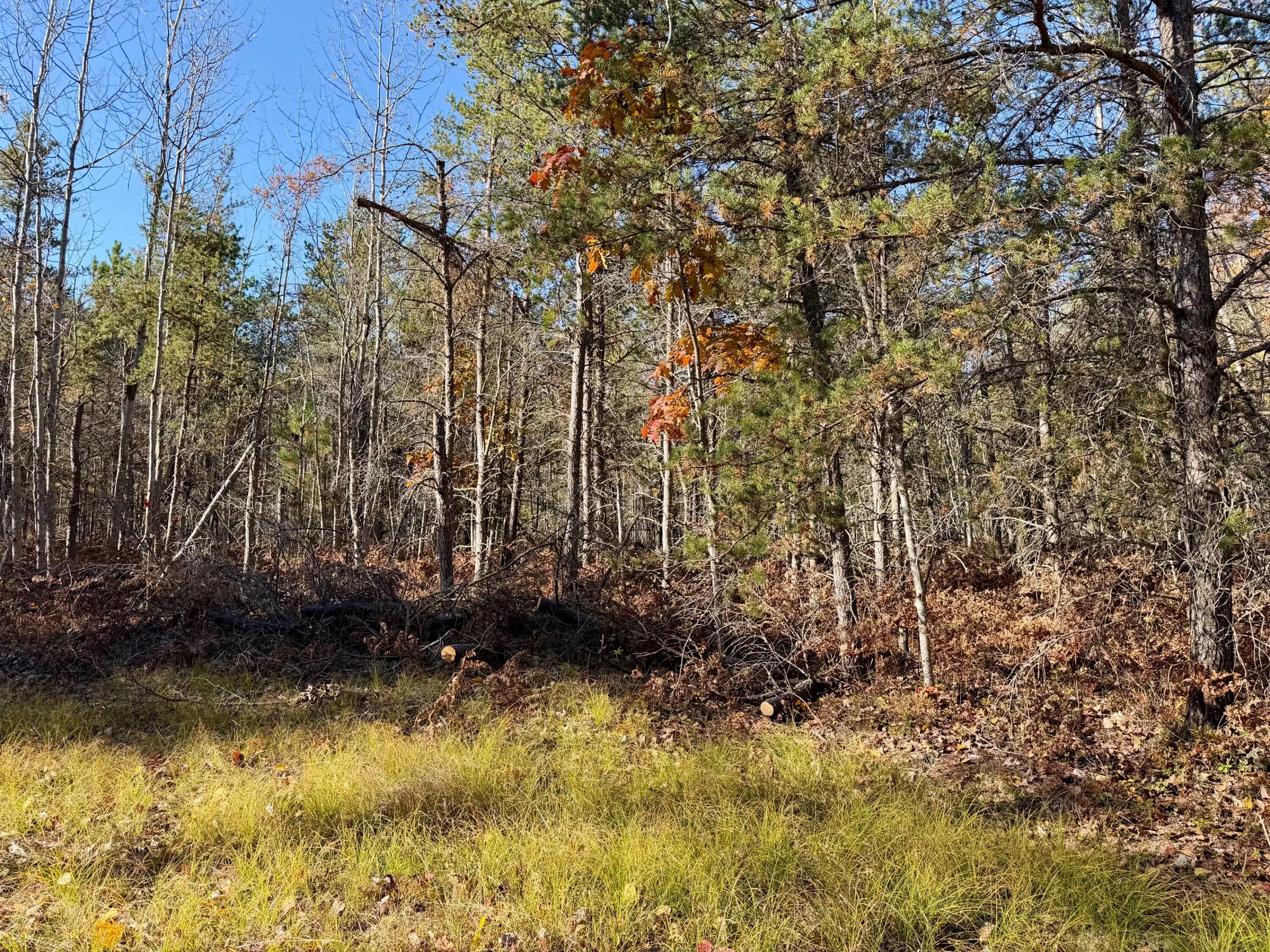 450 S Brown Trail, 20 acres