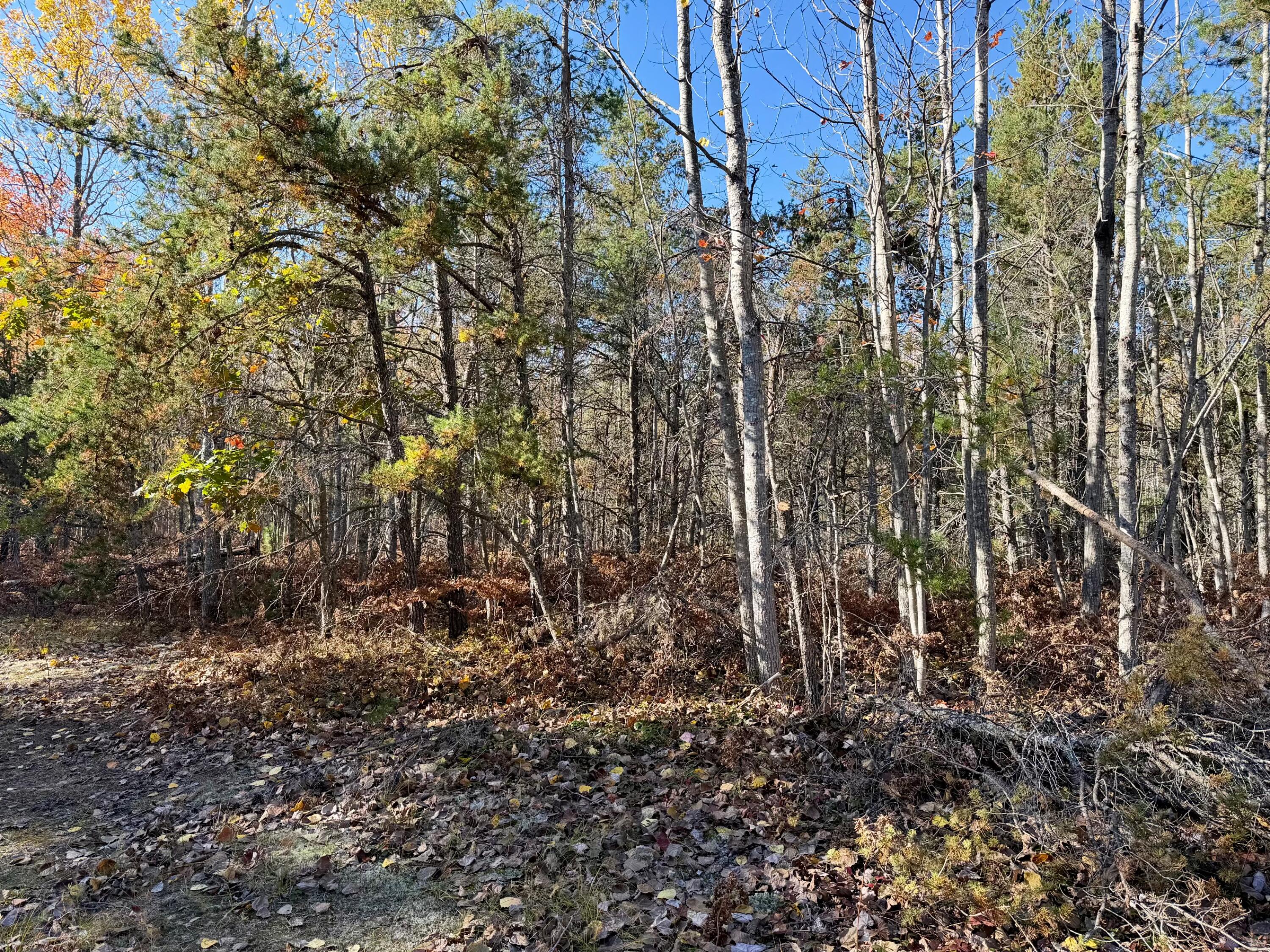 450 S Brown Trail, 20 acres
