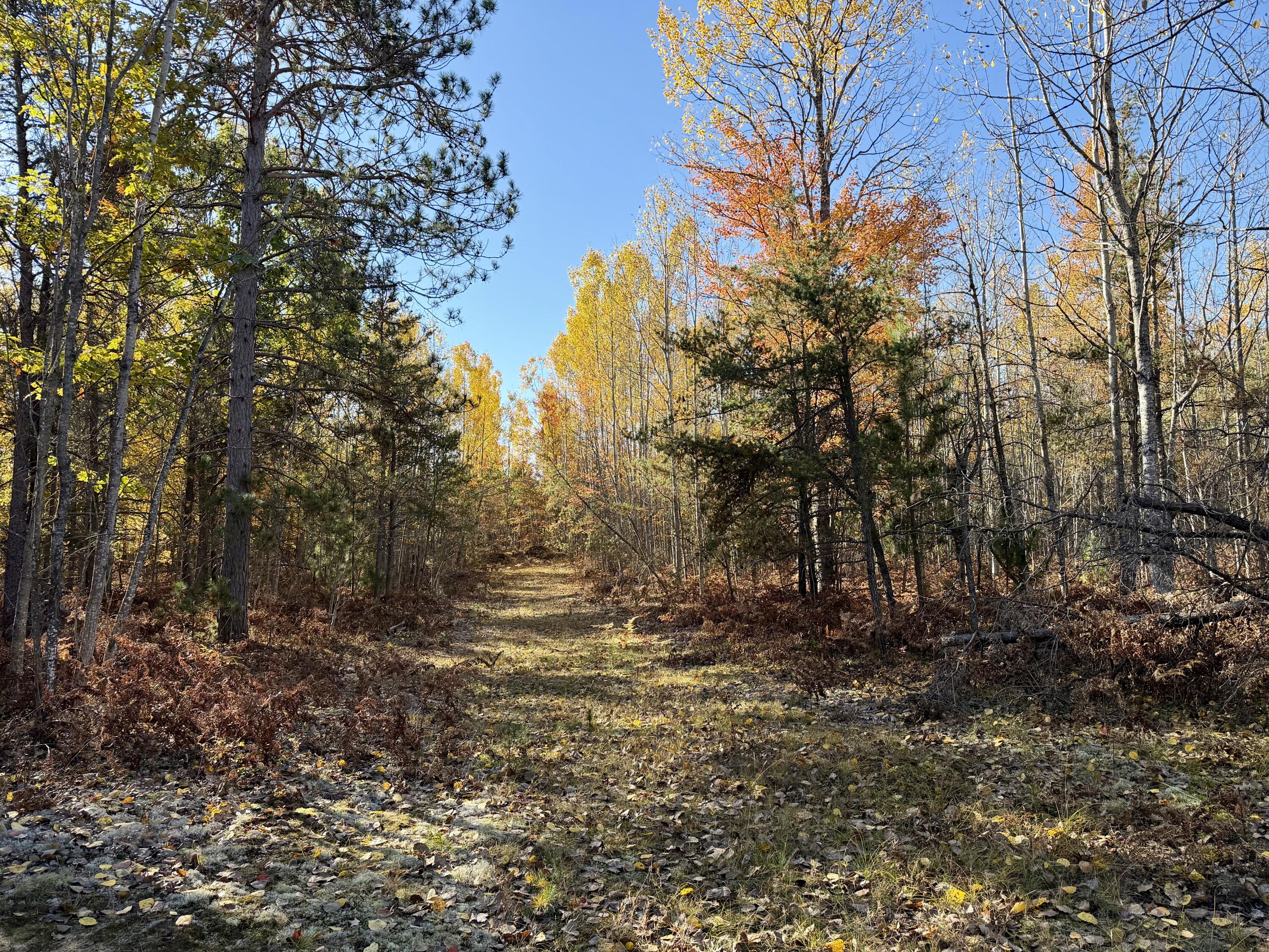450 S Brown Trail, 20 acres