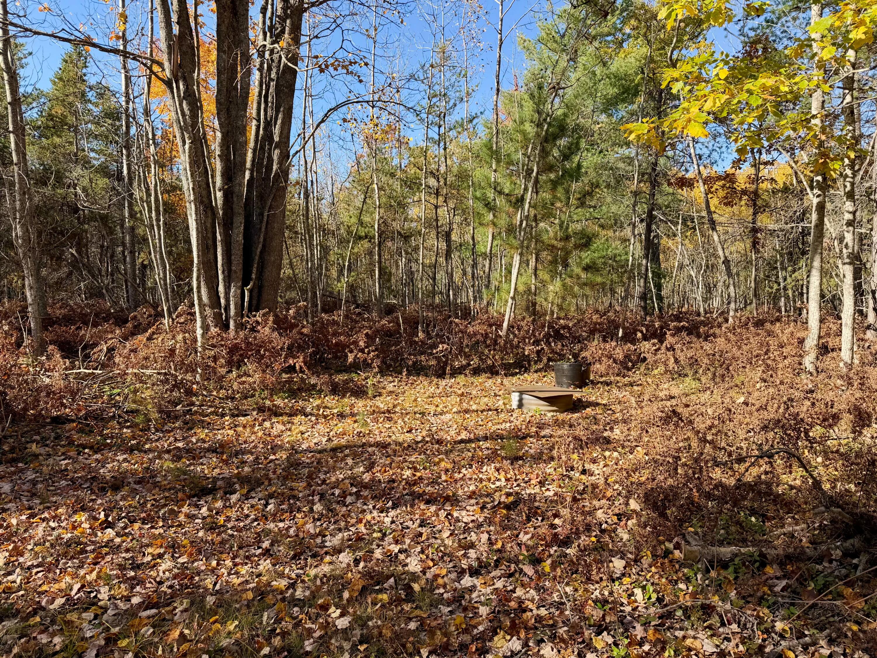 450 S Brown Trail, 20 acres