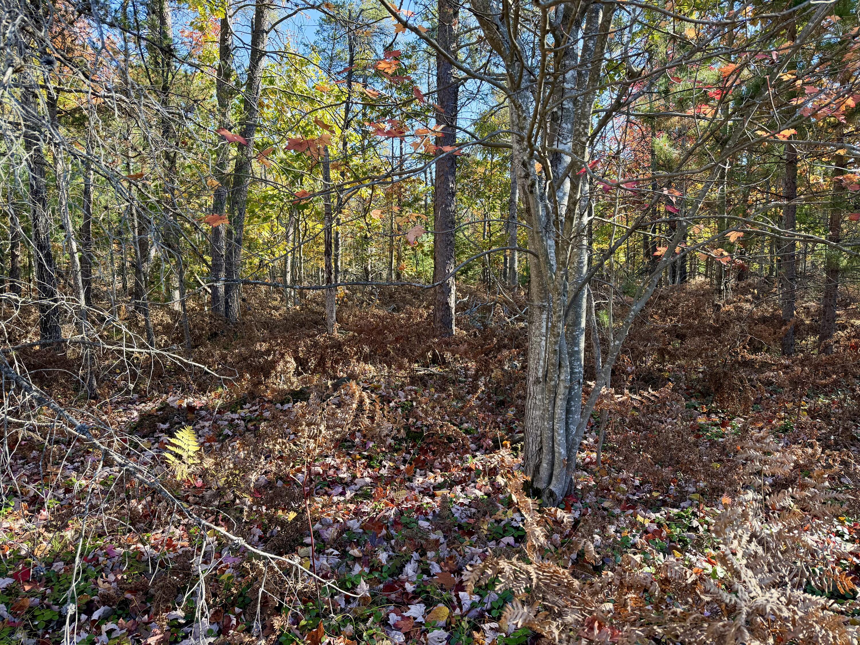 450 S Brown Trail, 20 acres