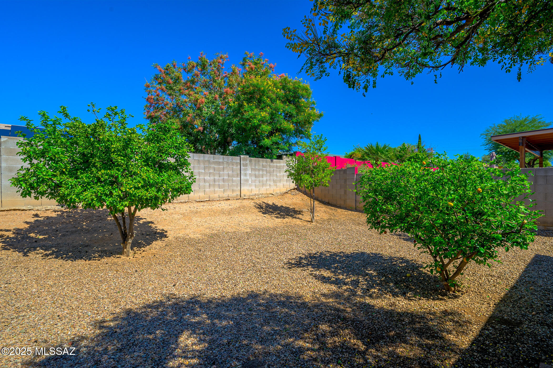 10235 E Rainbow Meadow Drive