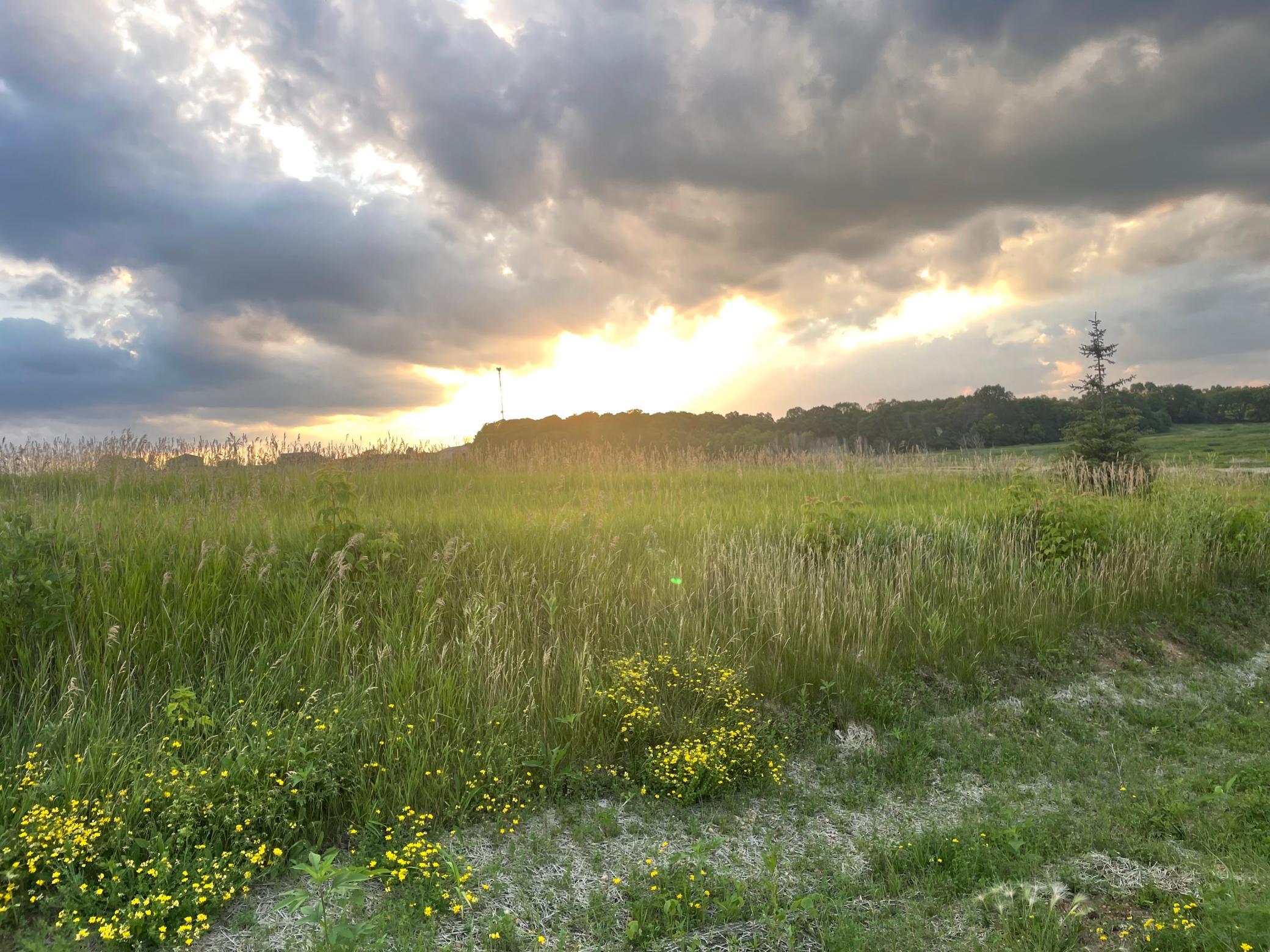 8022 Waterset Circle