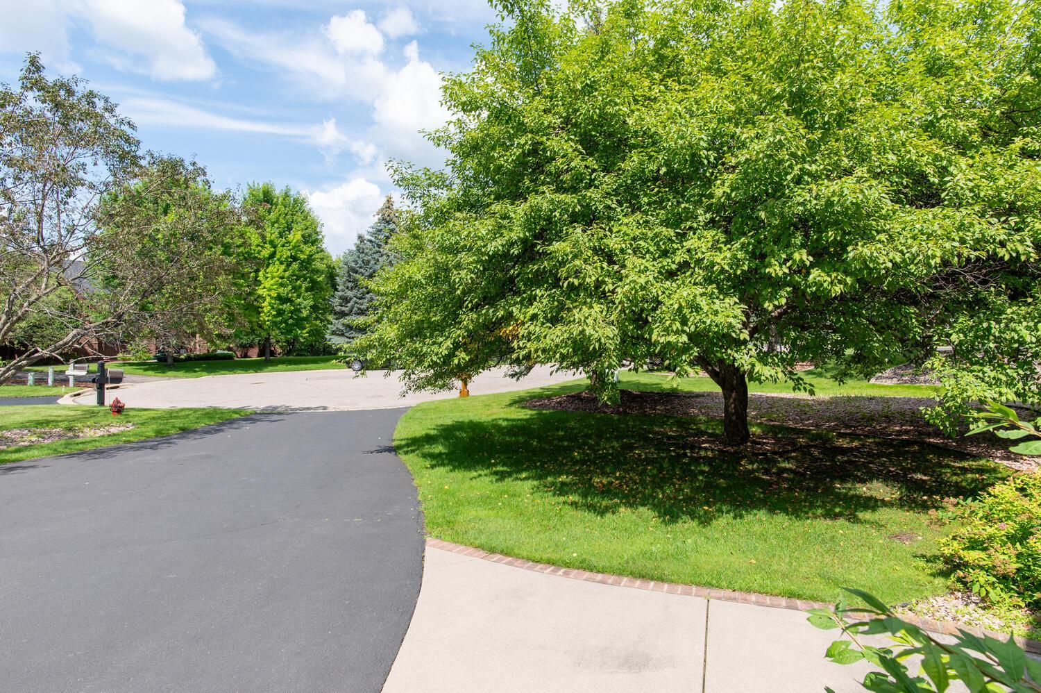 11667 Lone Lake Ridge