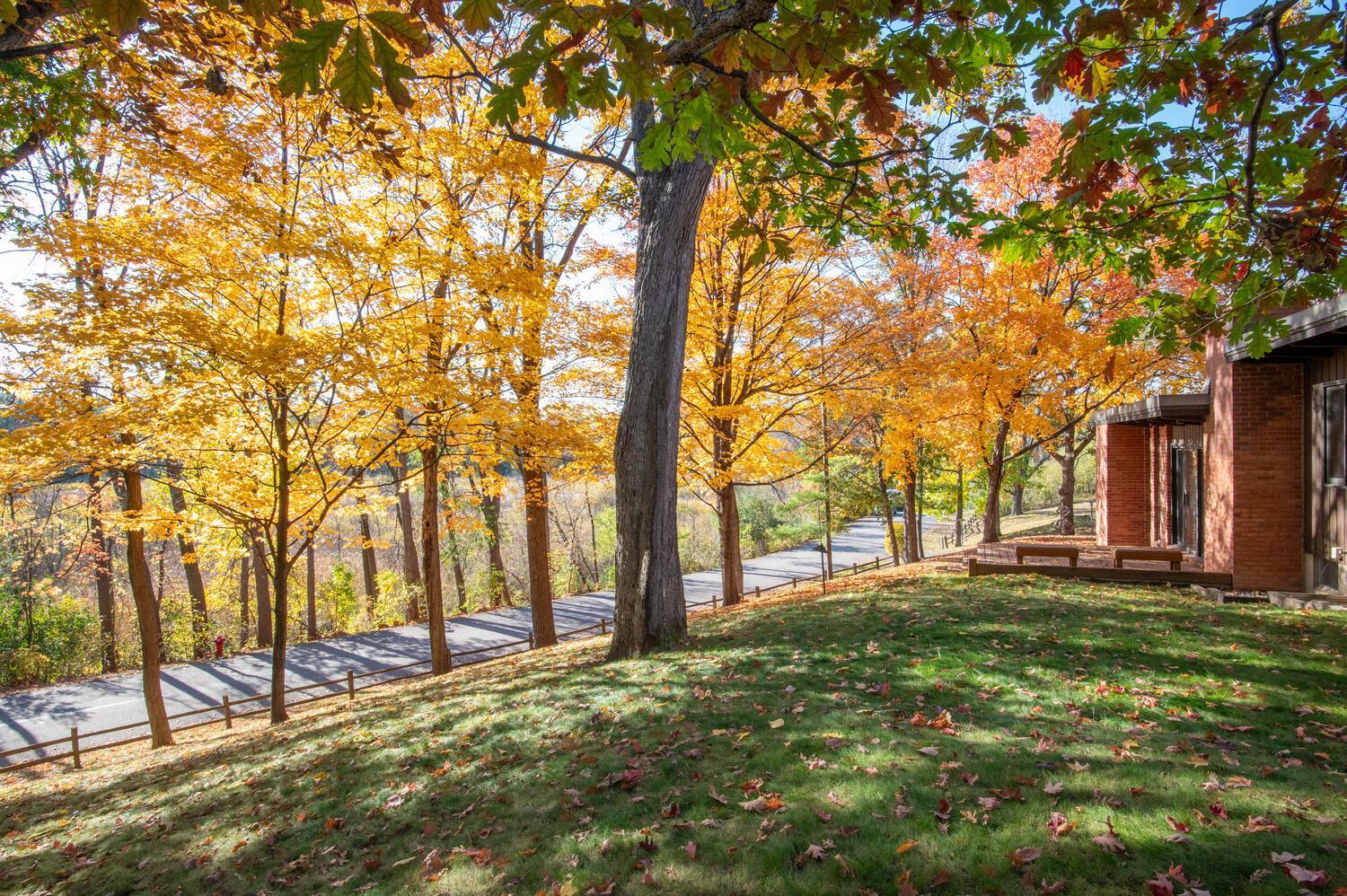 Brick house beside a sloping lawn and road beneath vivid orange and yellow autumn trees.