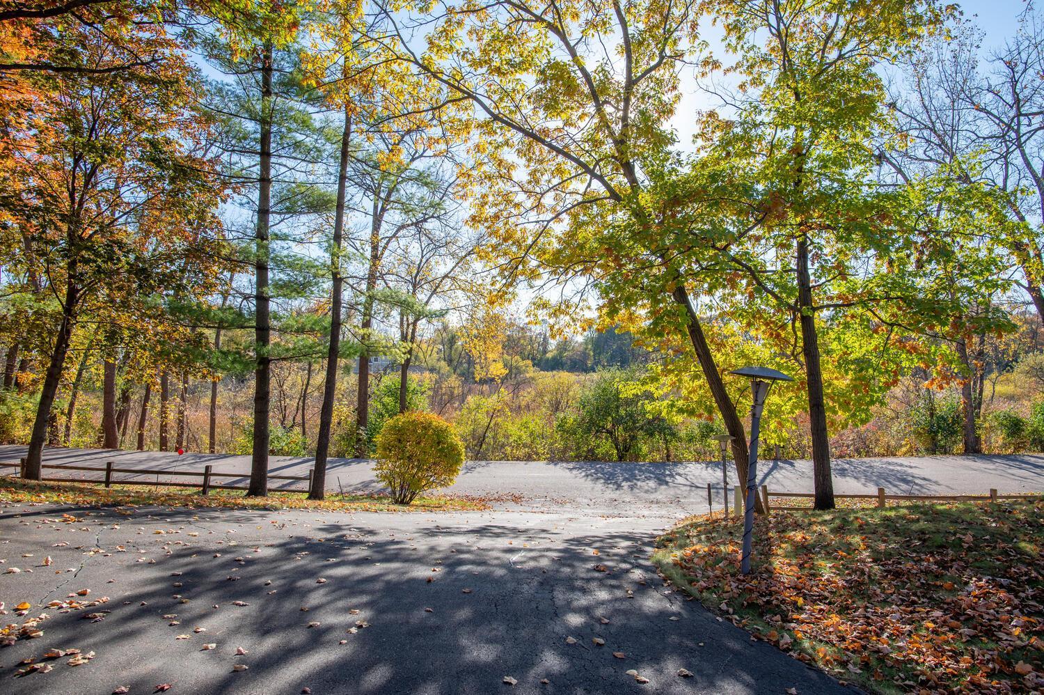 Paved driveway beneath colorful autumn trees, with a wooded area beyond.