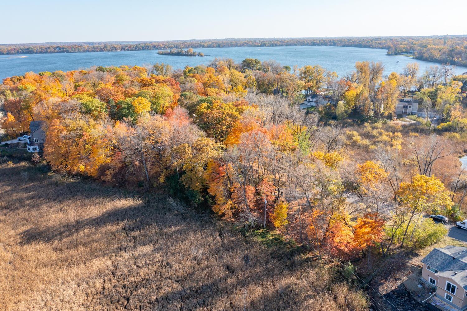 Aerial view of autumn trees and marshland beside a lake, with nearby homes.