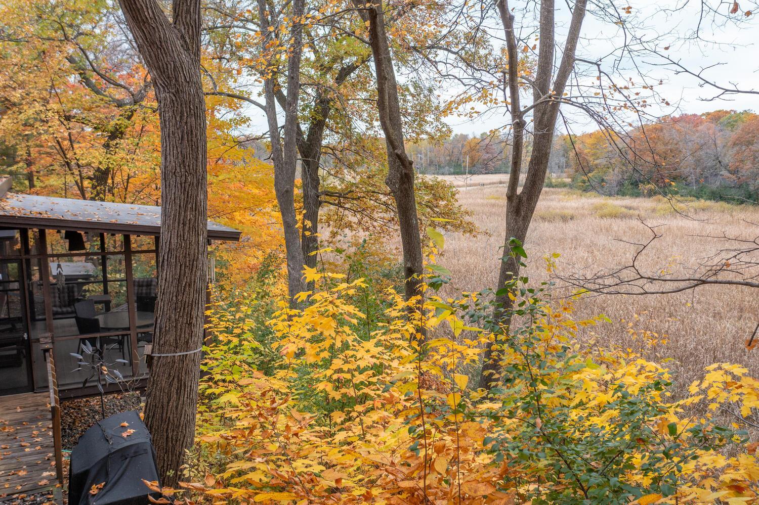 Autumn wetland and wooded yard viewed from beside a screened porch.