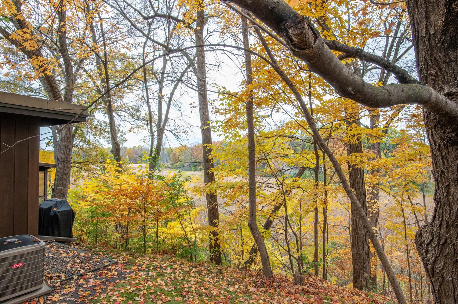 Wooded autumn view from beside the home, with golden leaves and a grassy clearing beyond.