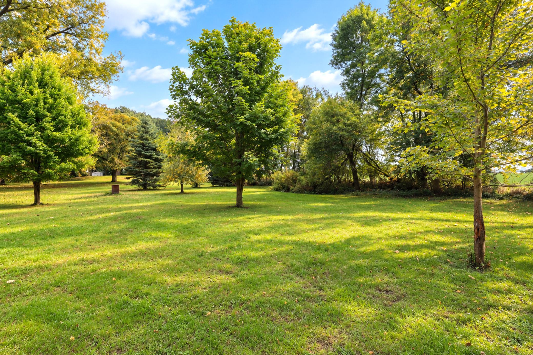 Spacious green lawn bordered by mature trees, with sunlight filtering through yellowing leaves.