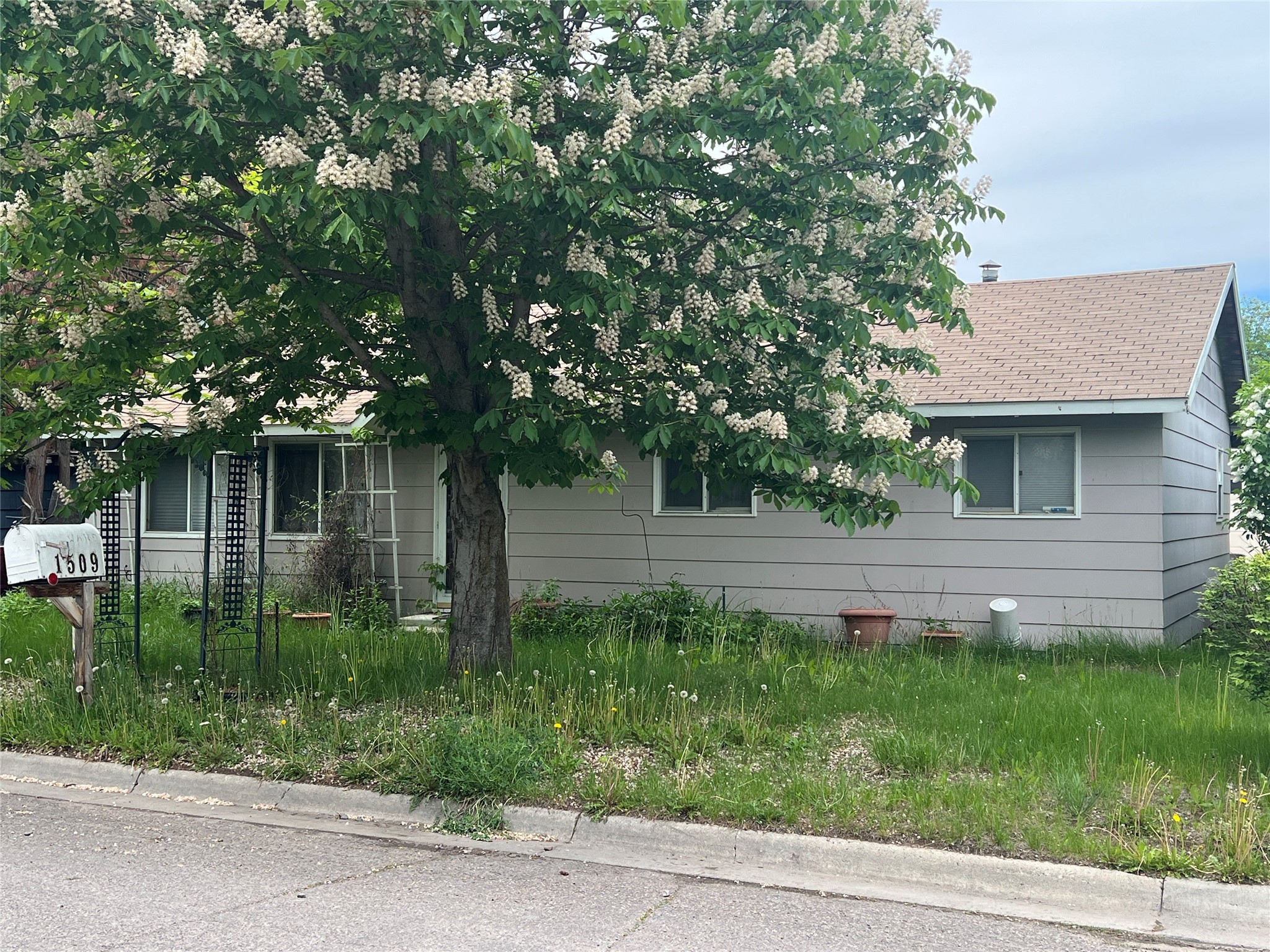 1509 Schilling Street