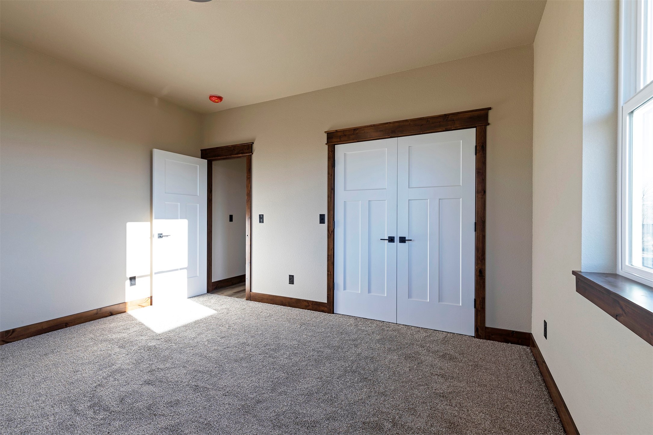 206 Palomino Drive