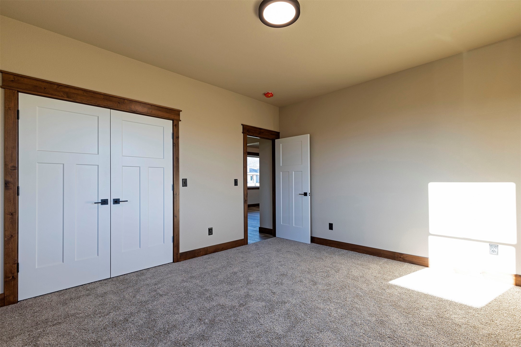 206 Palomino Drive