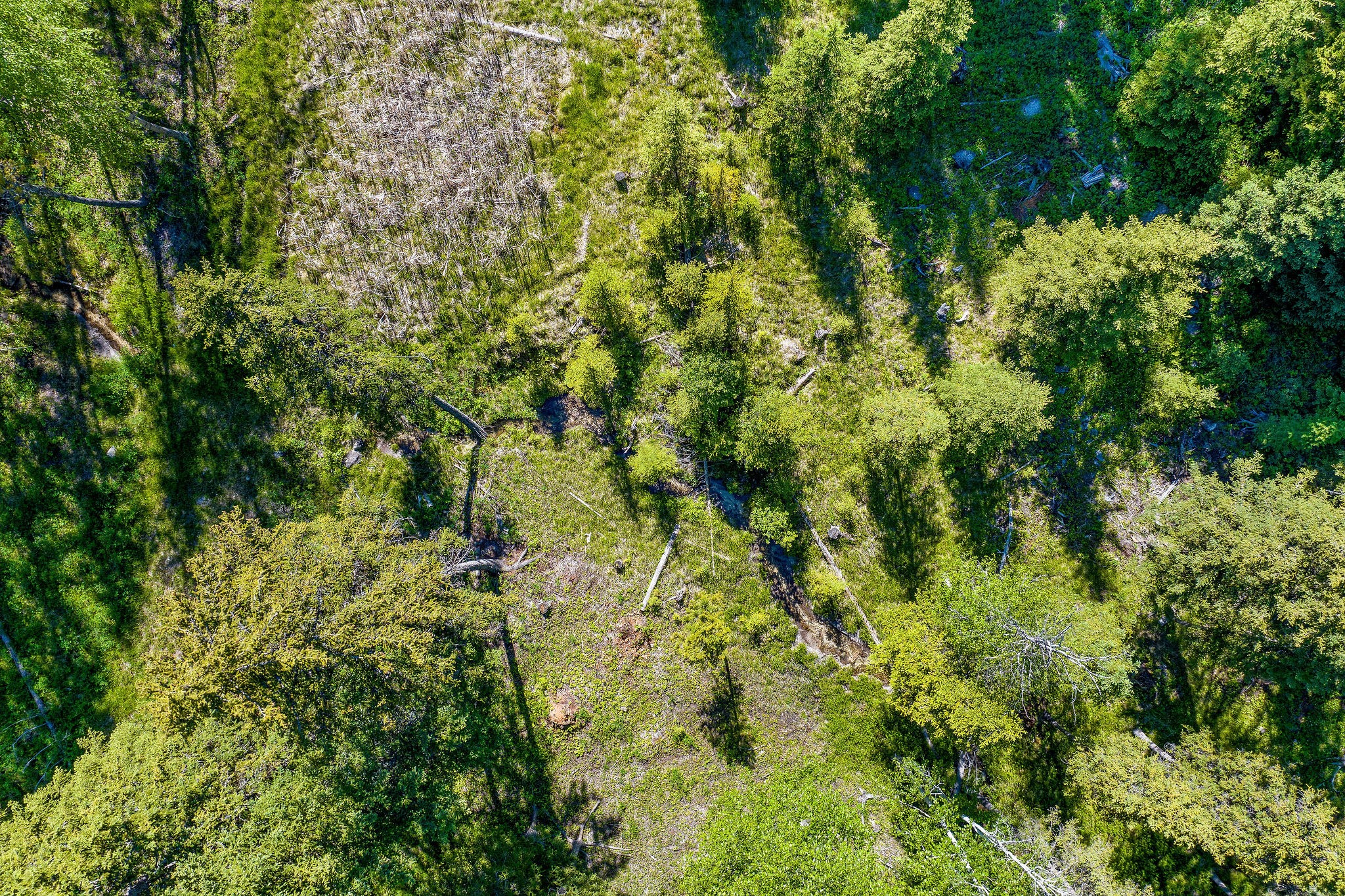 777 O Neil Creek Road