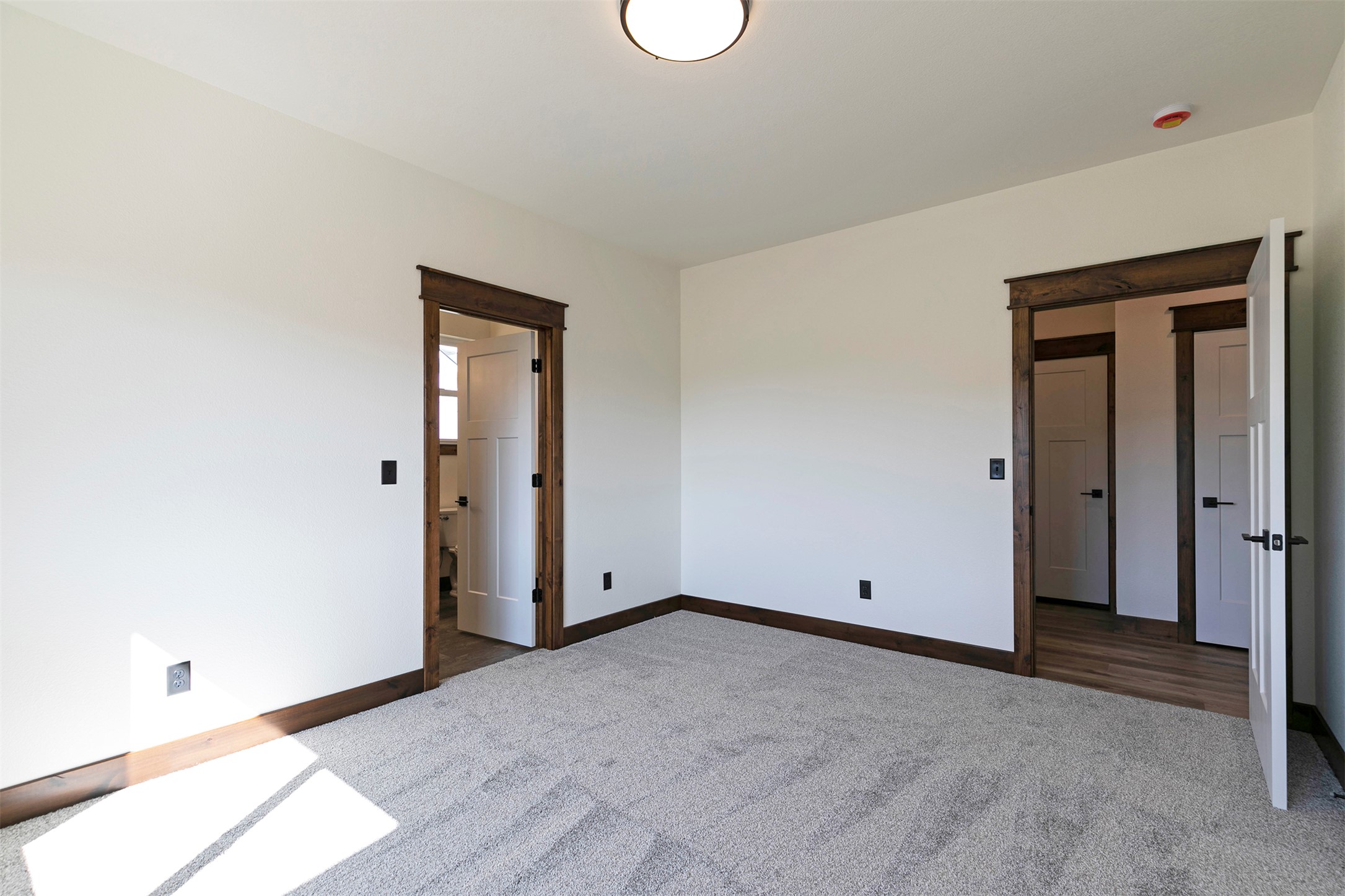 209 Palomino Drive