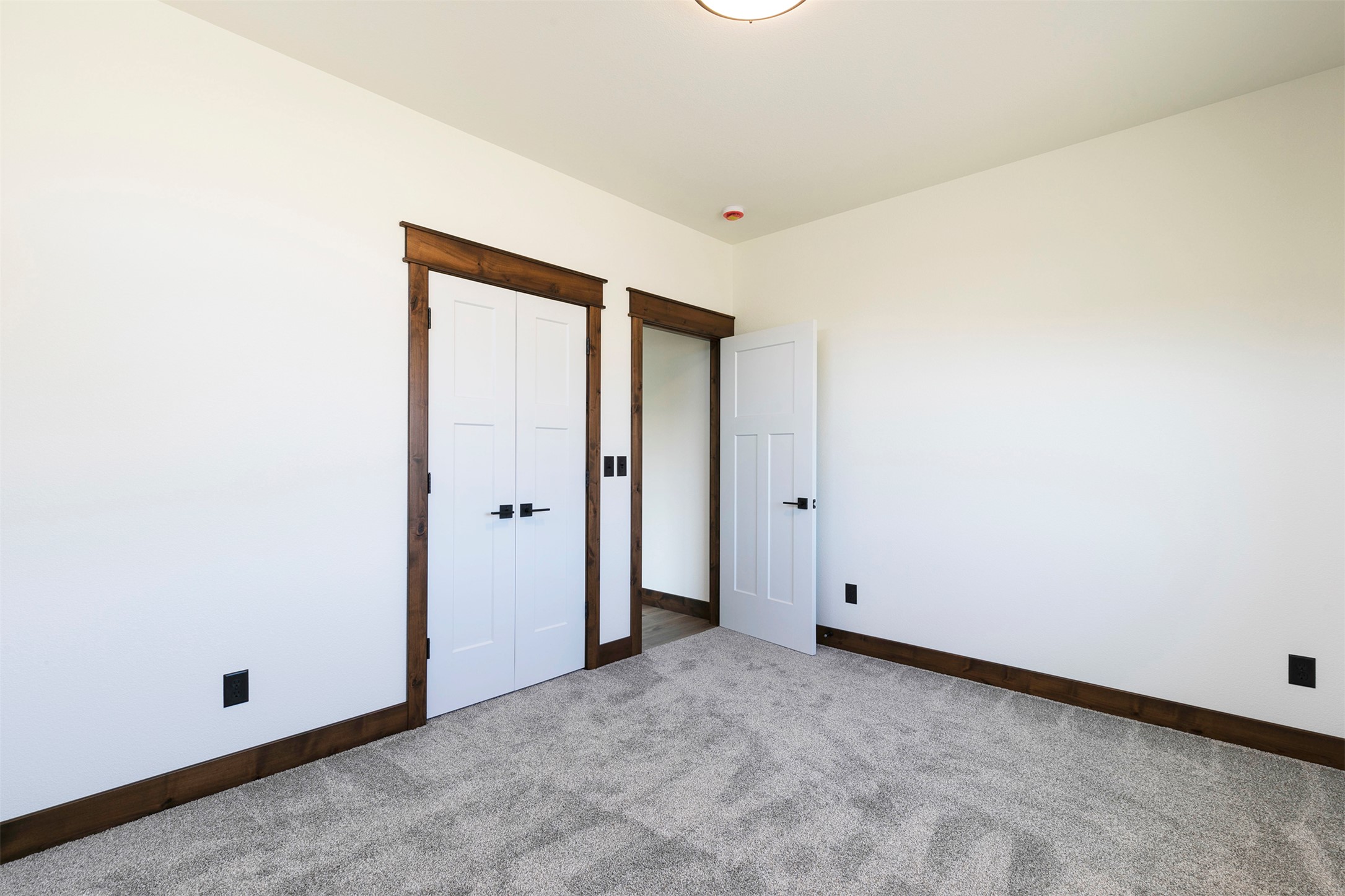 209 Palomino Drive