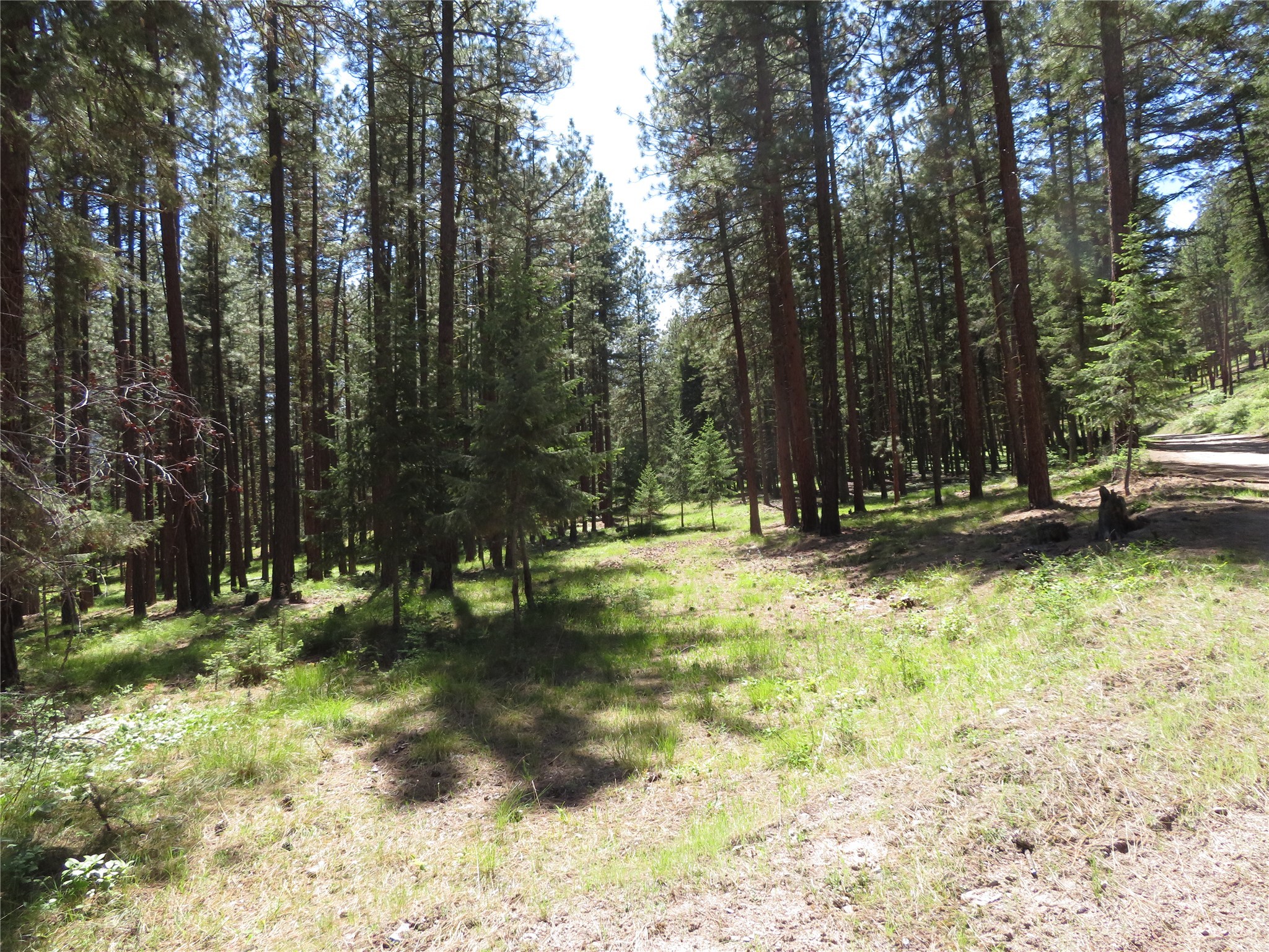 13567 Rosco Road