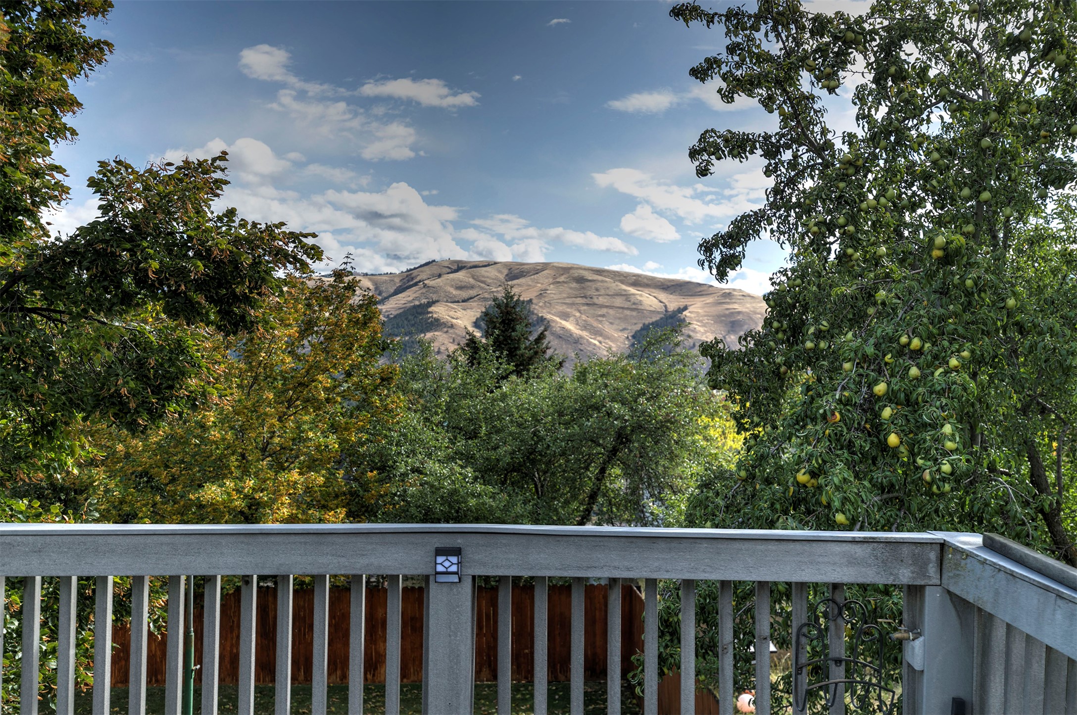 246 Saint Johns Street