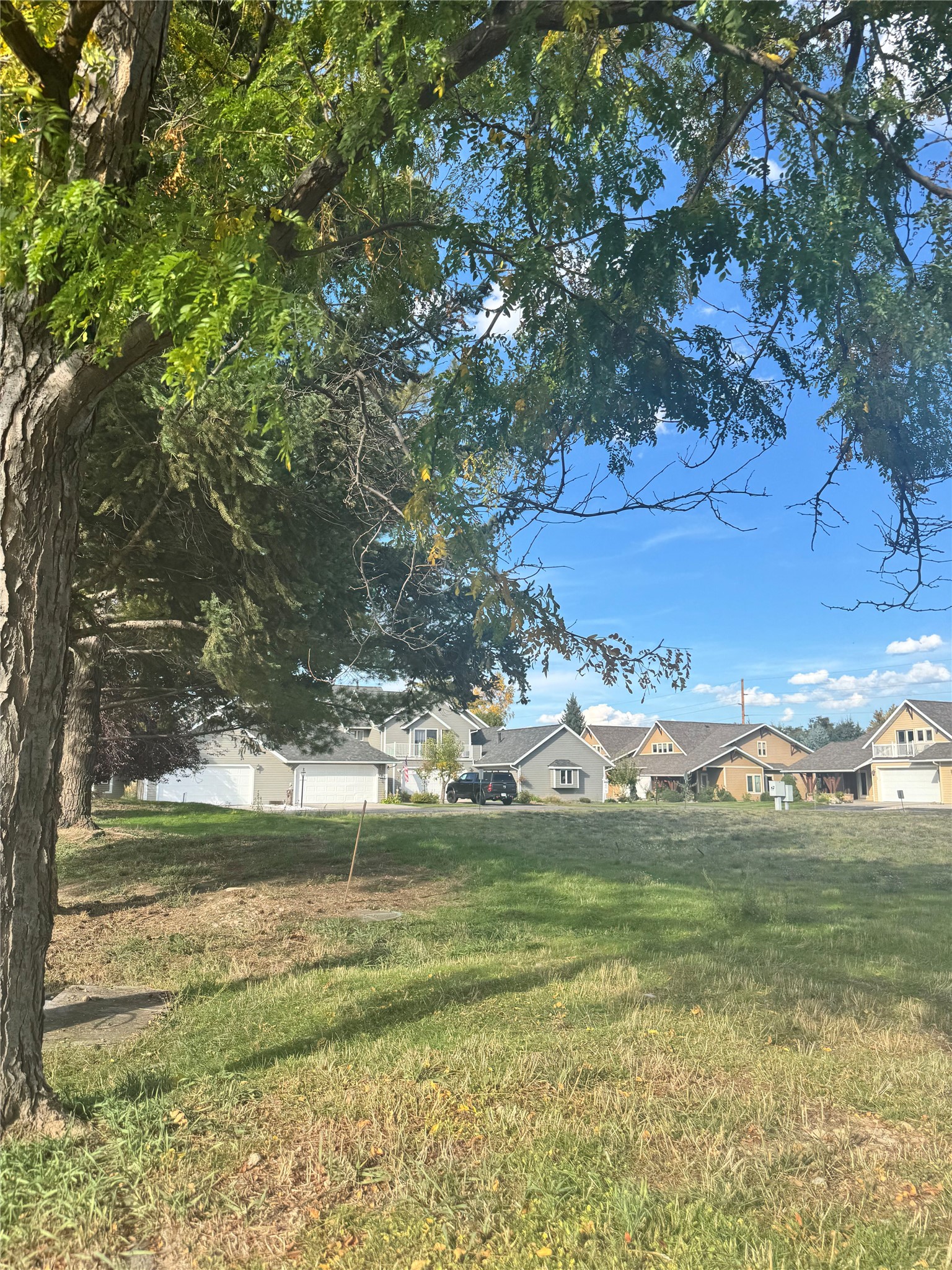 Grassy vacant lot beneath a mature tree, with neighboring homes across the street.