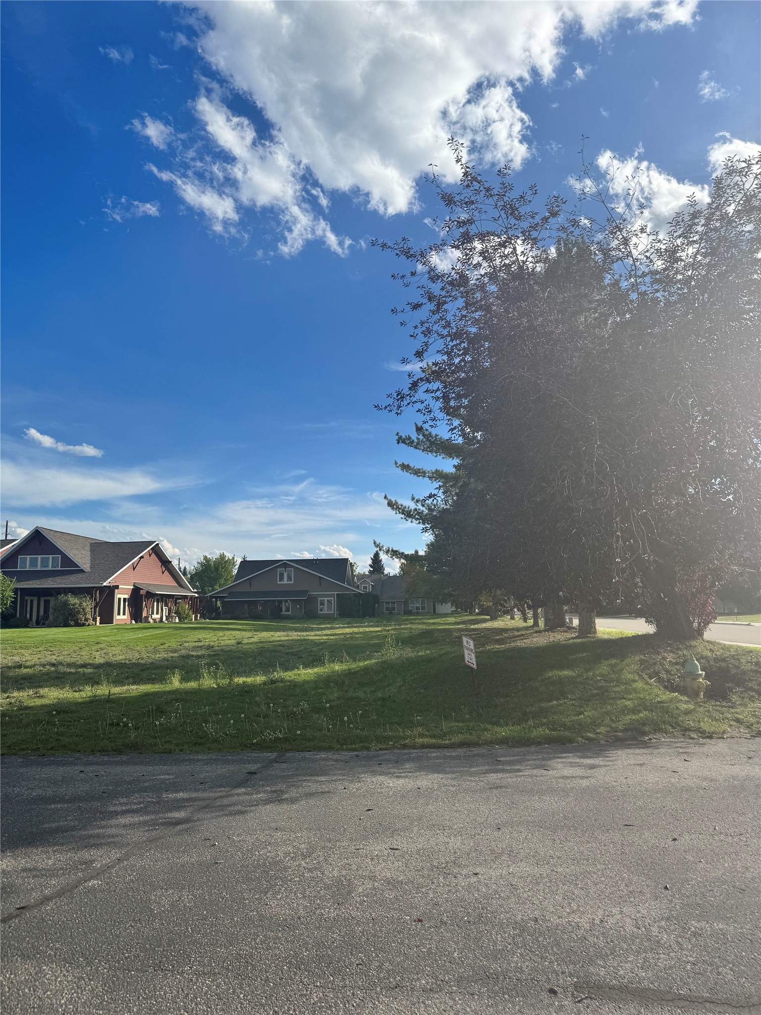 Two homes across a grassy lot, with mature trees shading the right side.