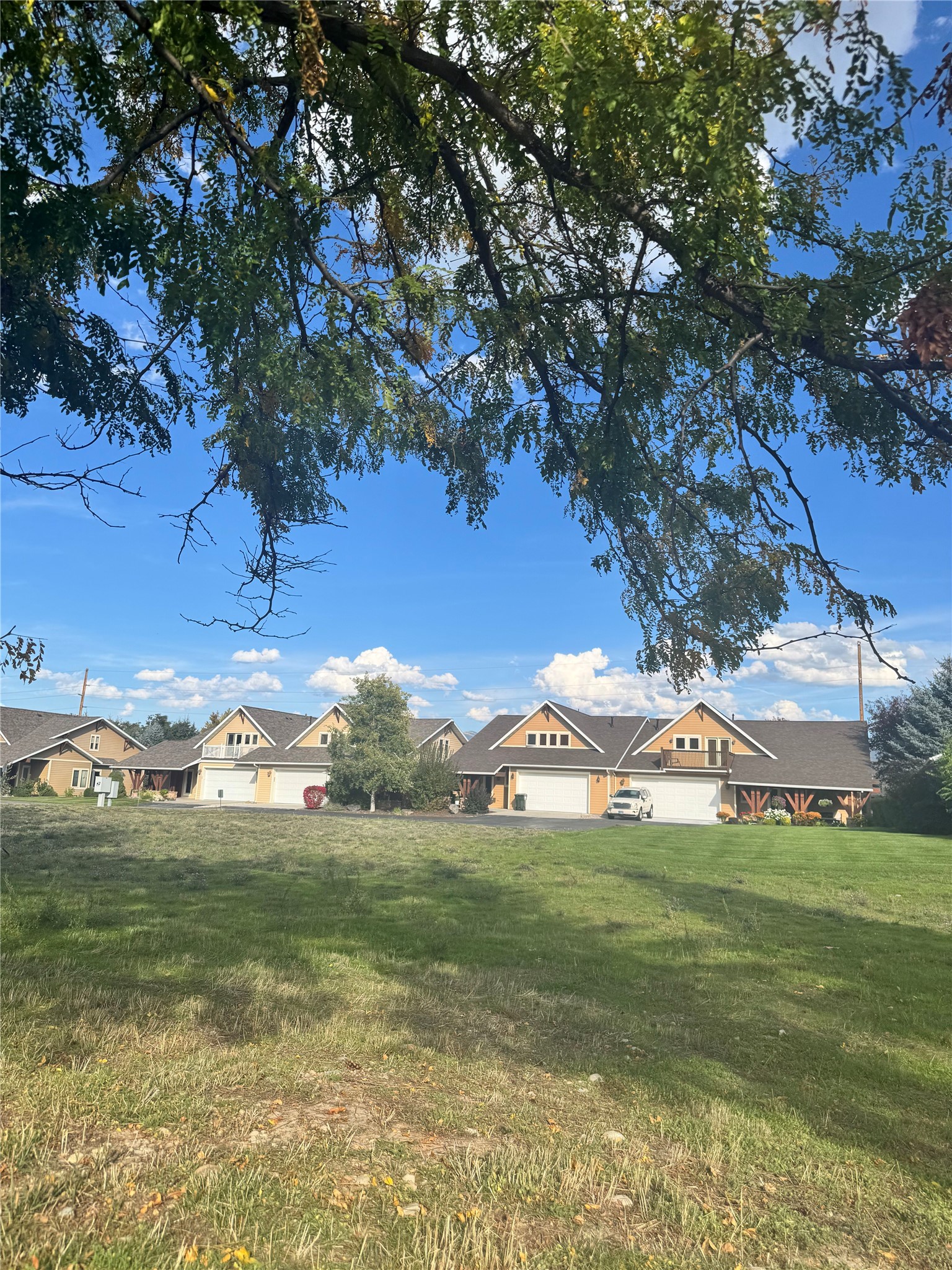 Attached homes with peaked roofs and garages beyond a lawn, framed by a large leafy tree.