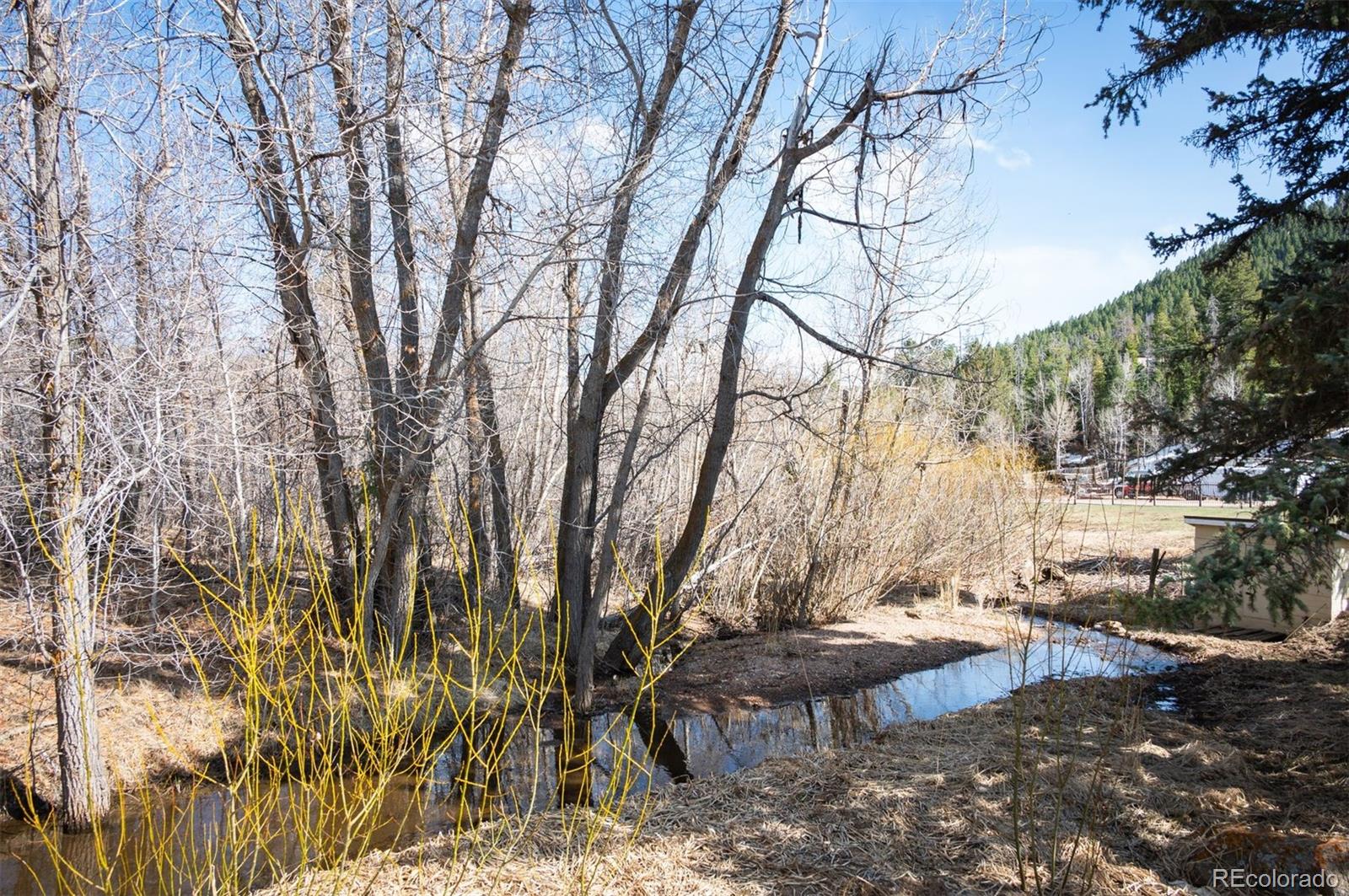 10039 S Turkey Creek Road