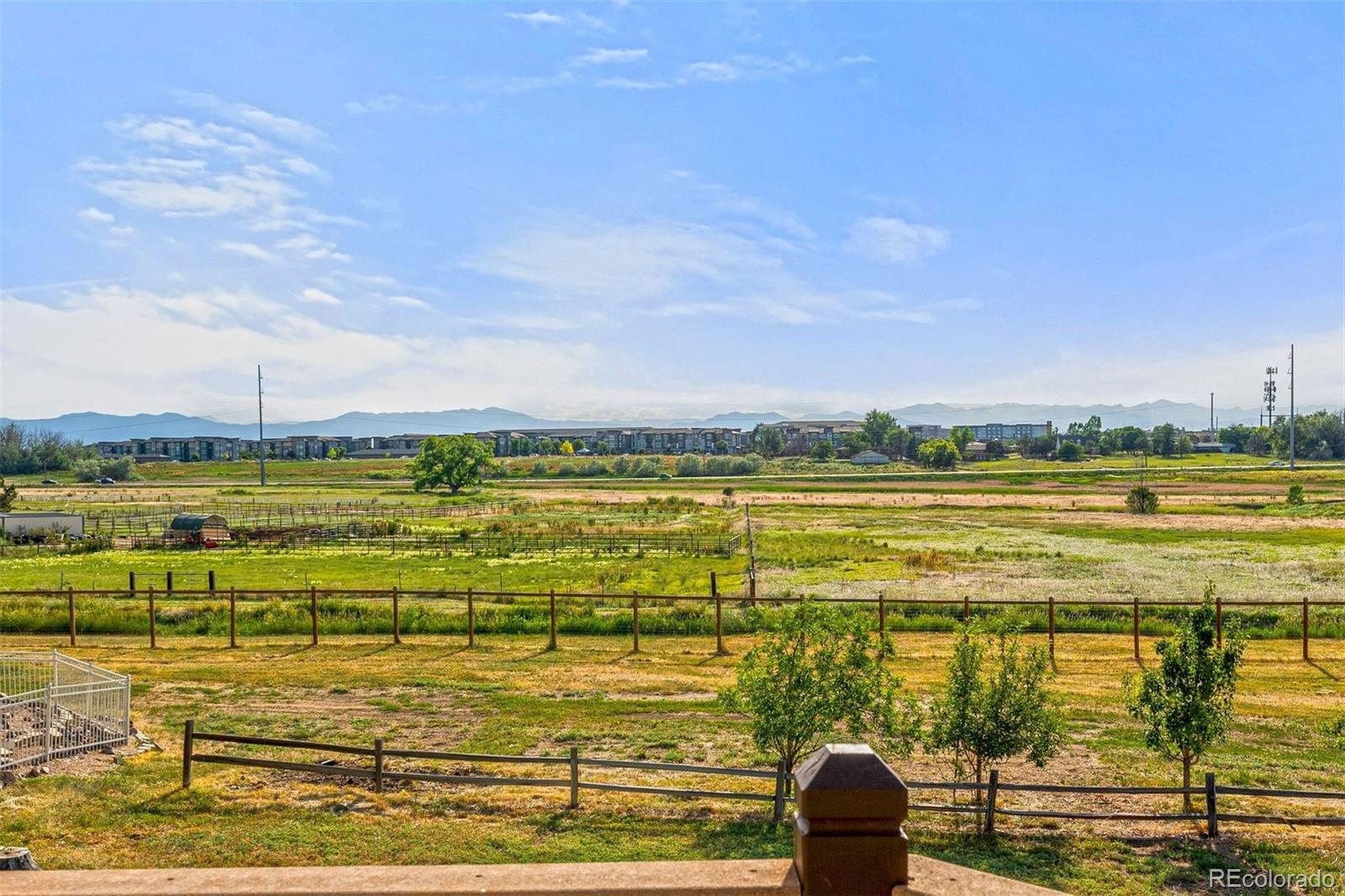 14217 Downing Street