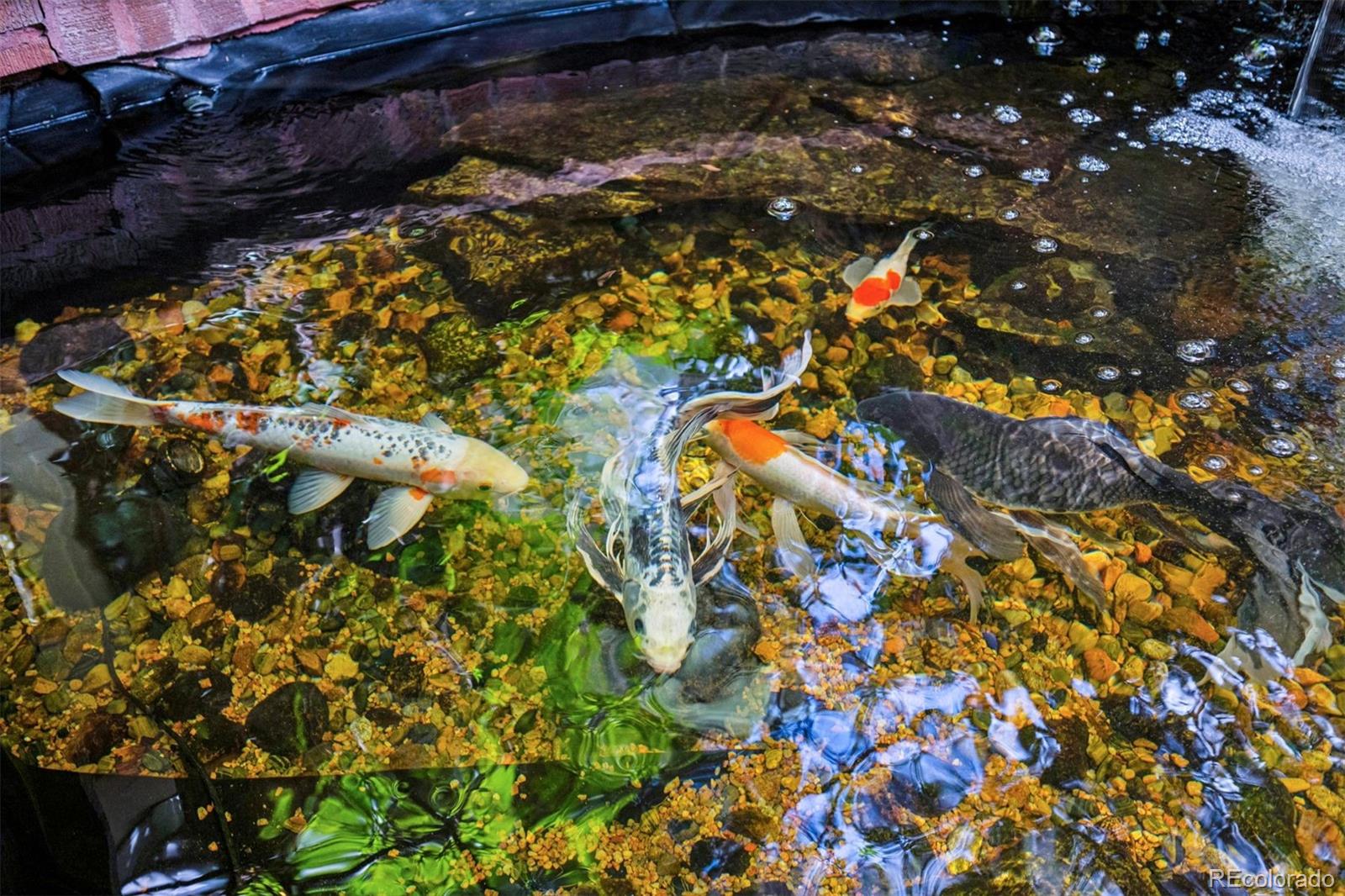 6300 E 17th Avenue Parkway