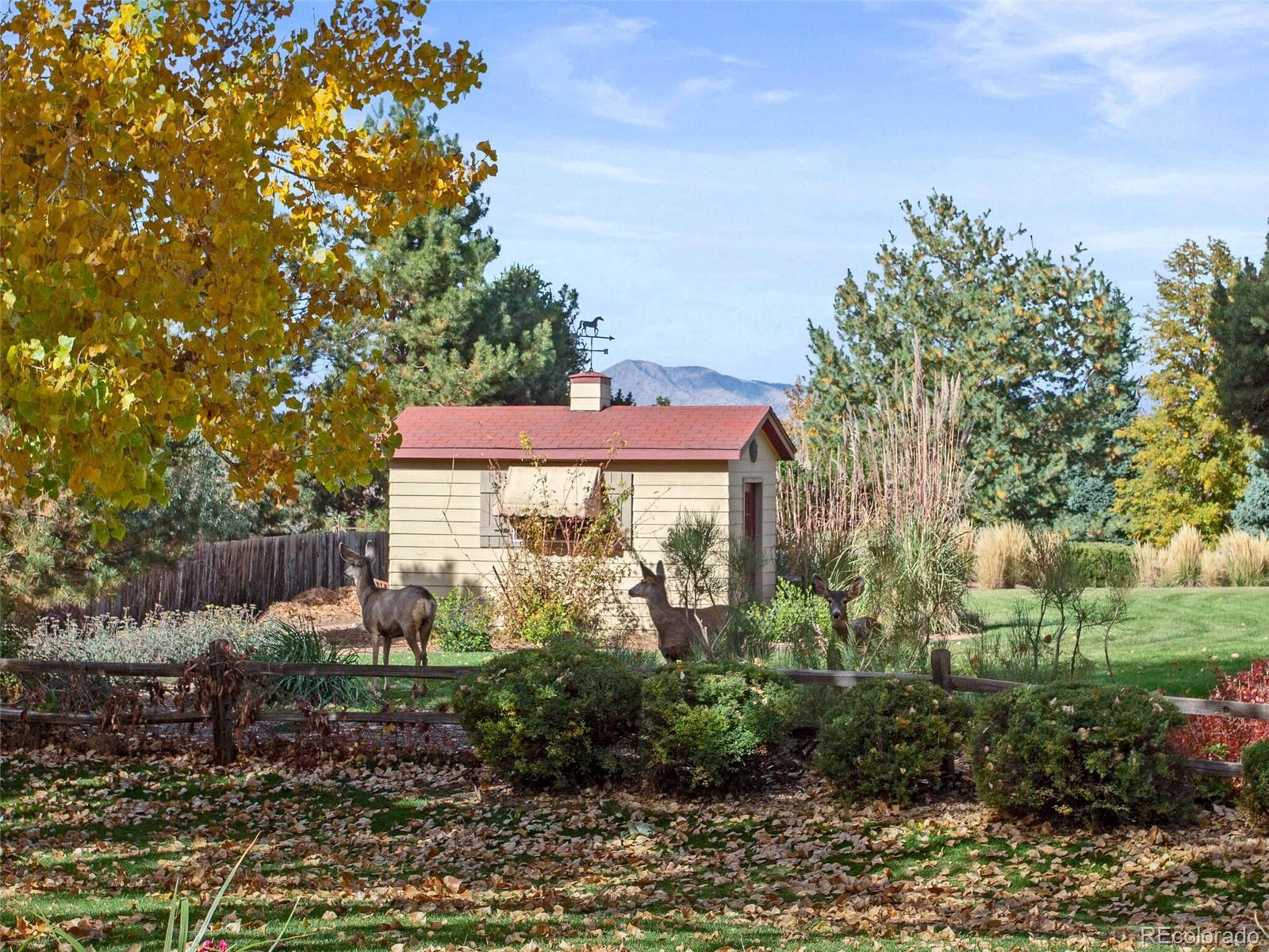 984 W Ridge Road