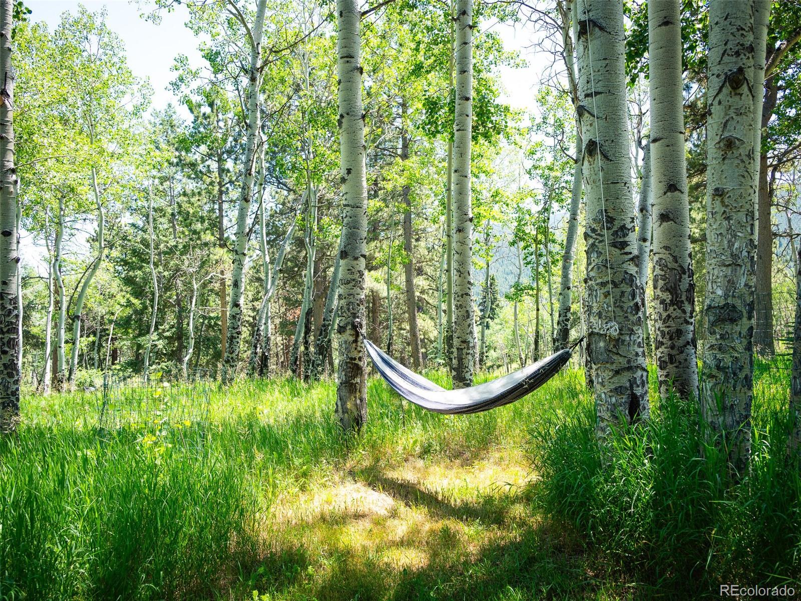 26 Cool Spring Drive